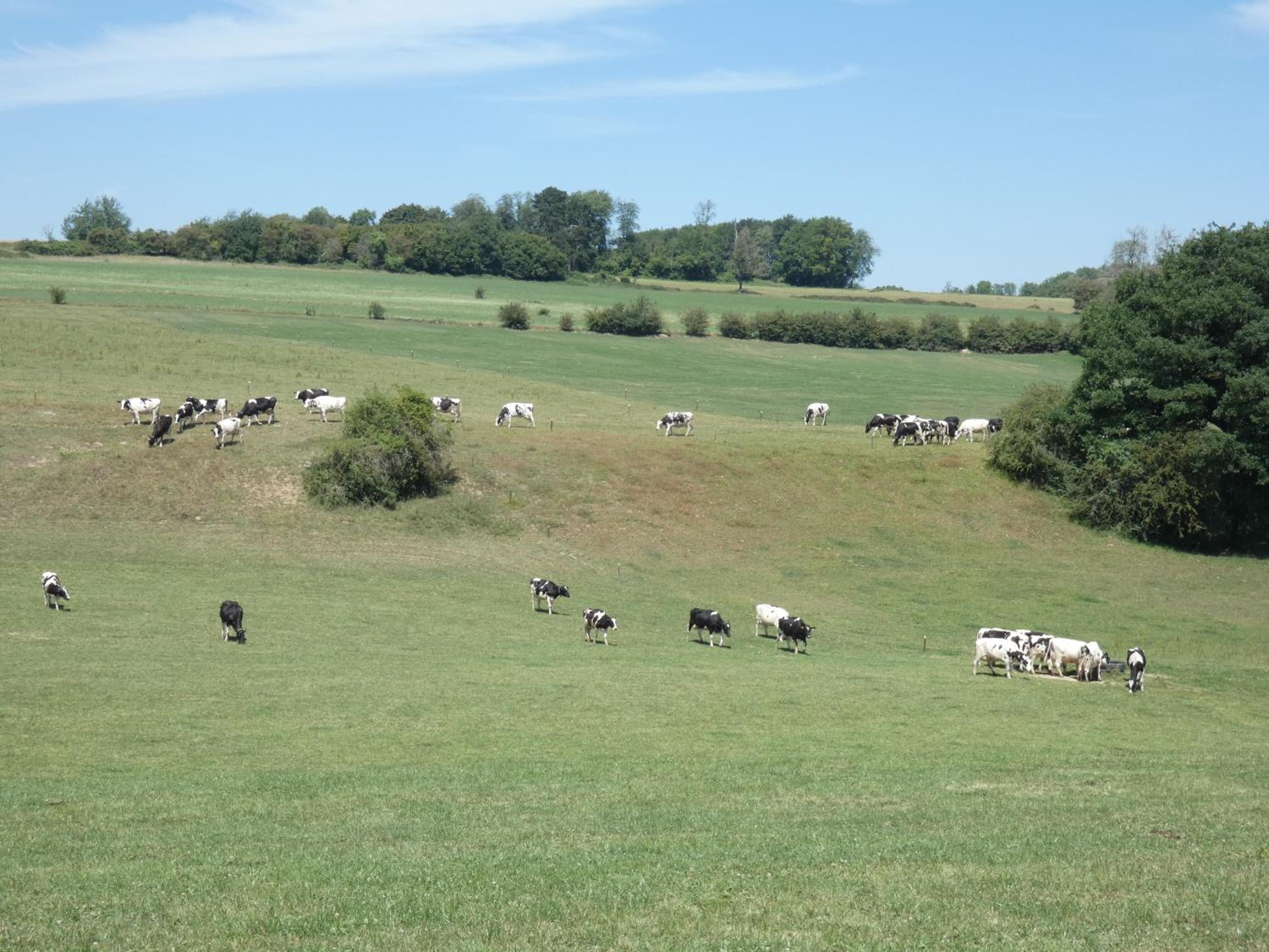 Gite L'éternité