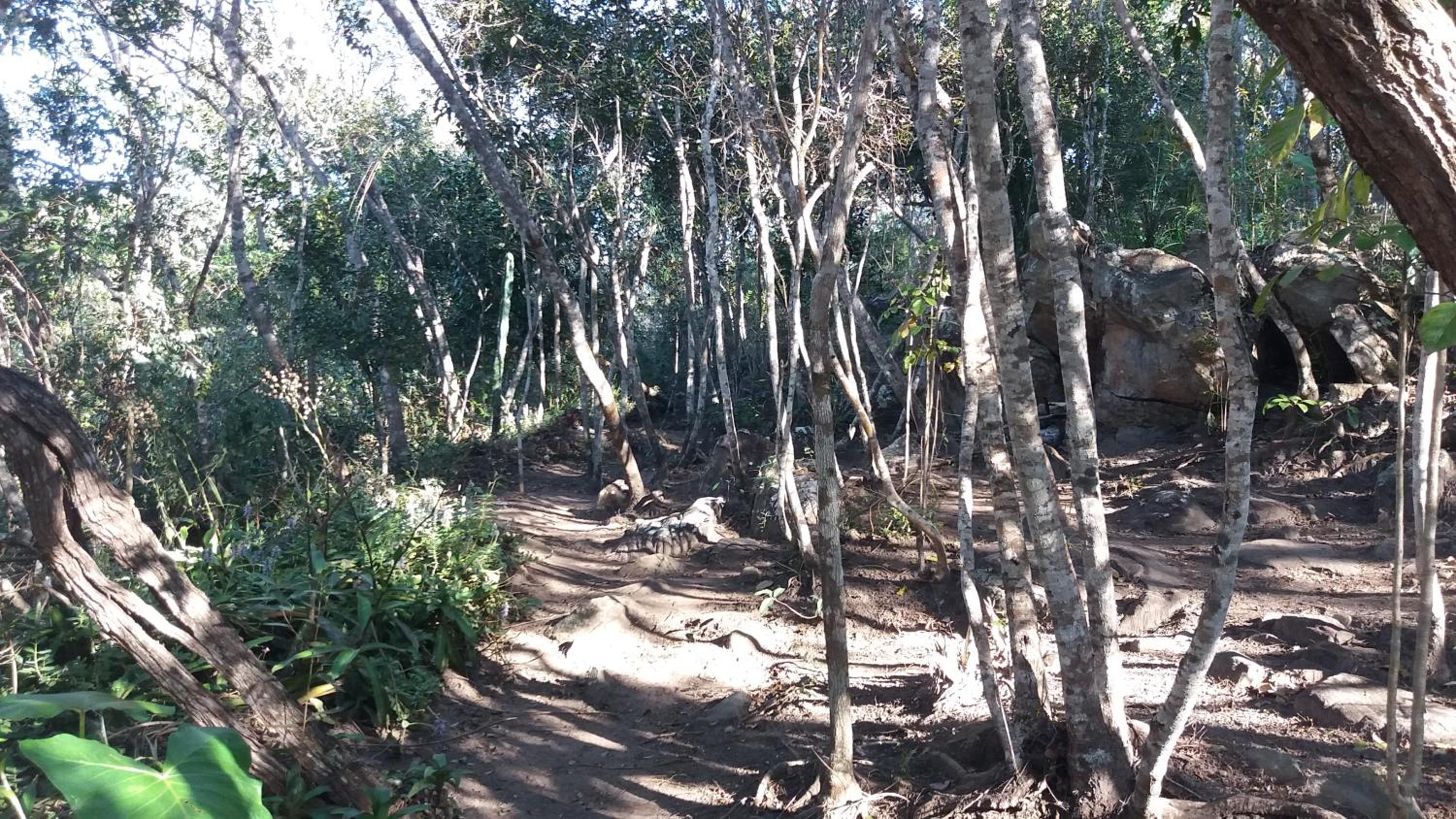 Morada dos Elfos