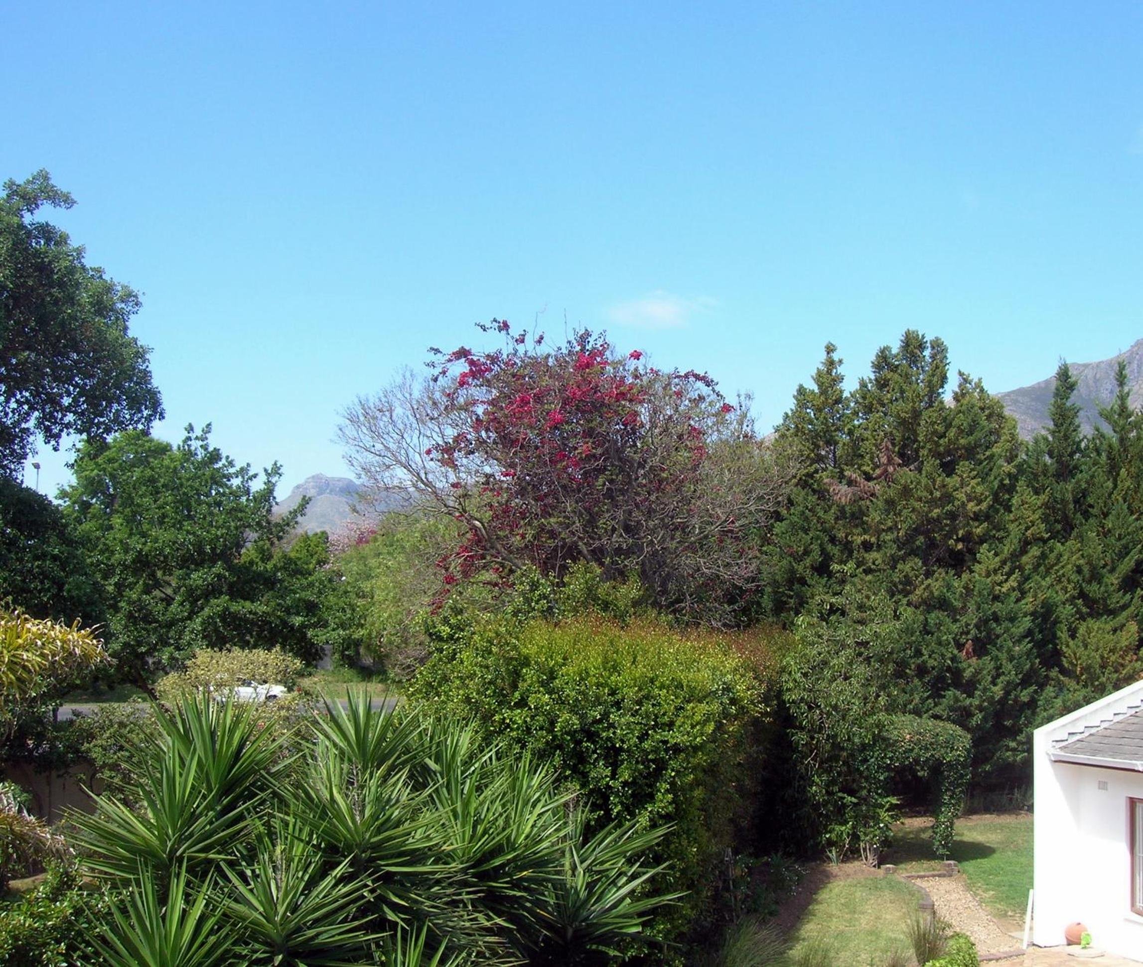 16 Rhodes-North Self Catering Apartment & Studio