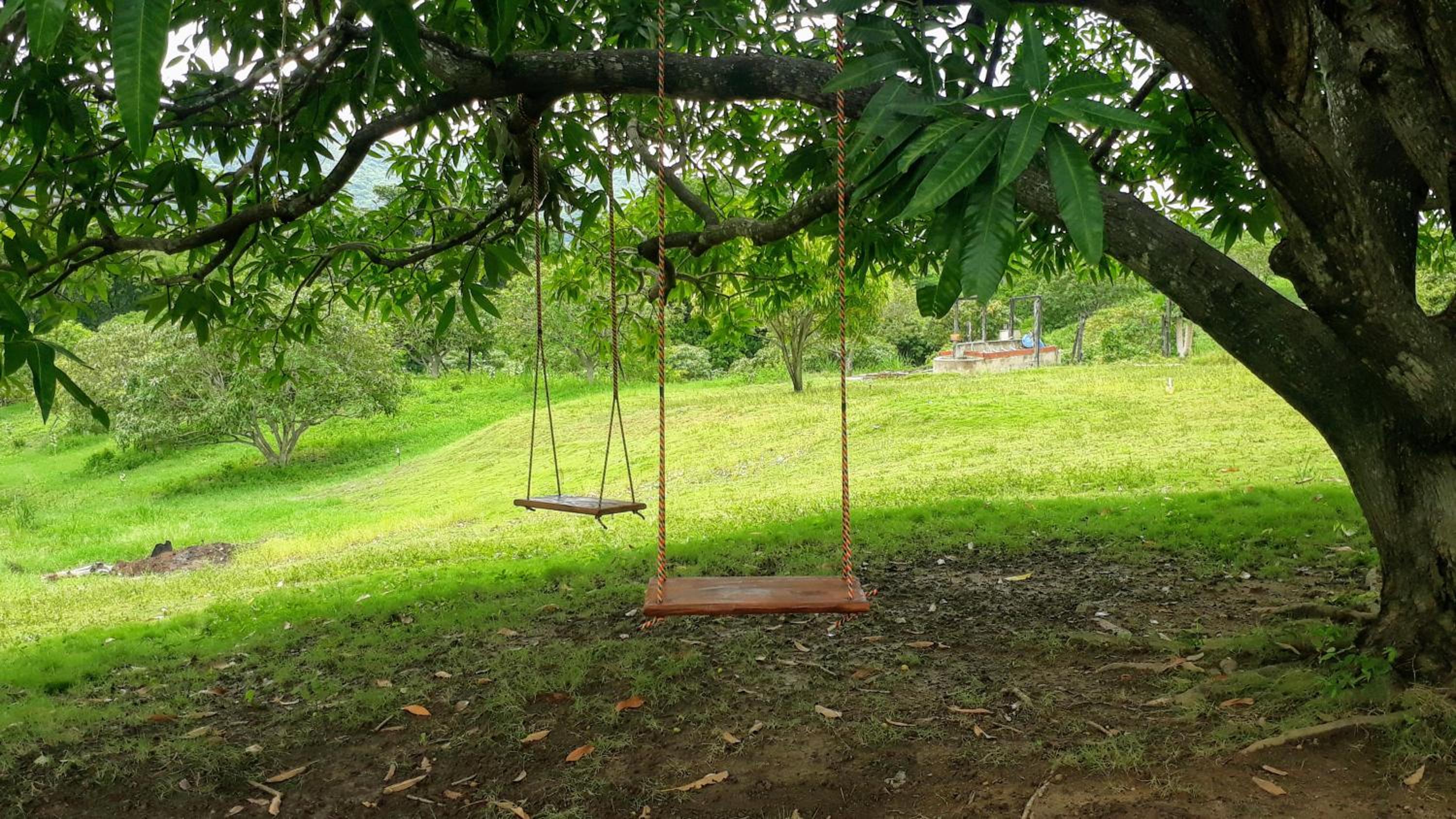 Ecoturismo Los Mangos