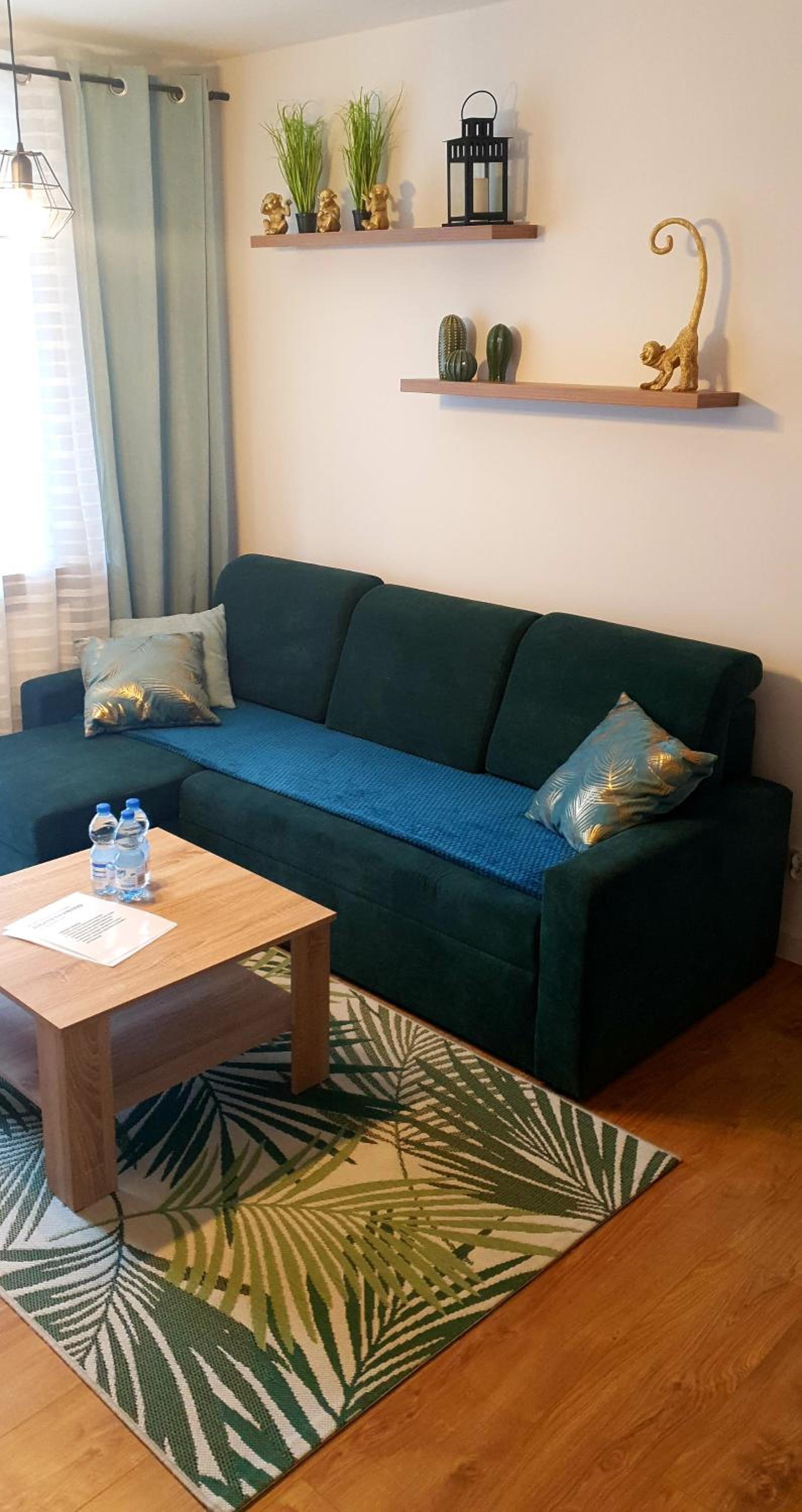 Apartament Zielony - Okrzei (Garaż, Targi), photo 5