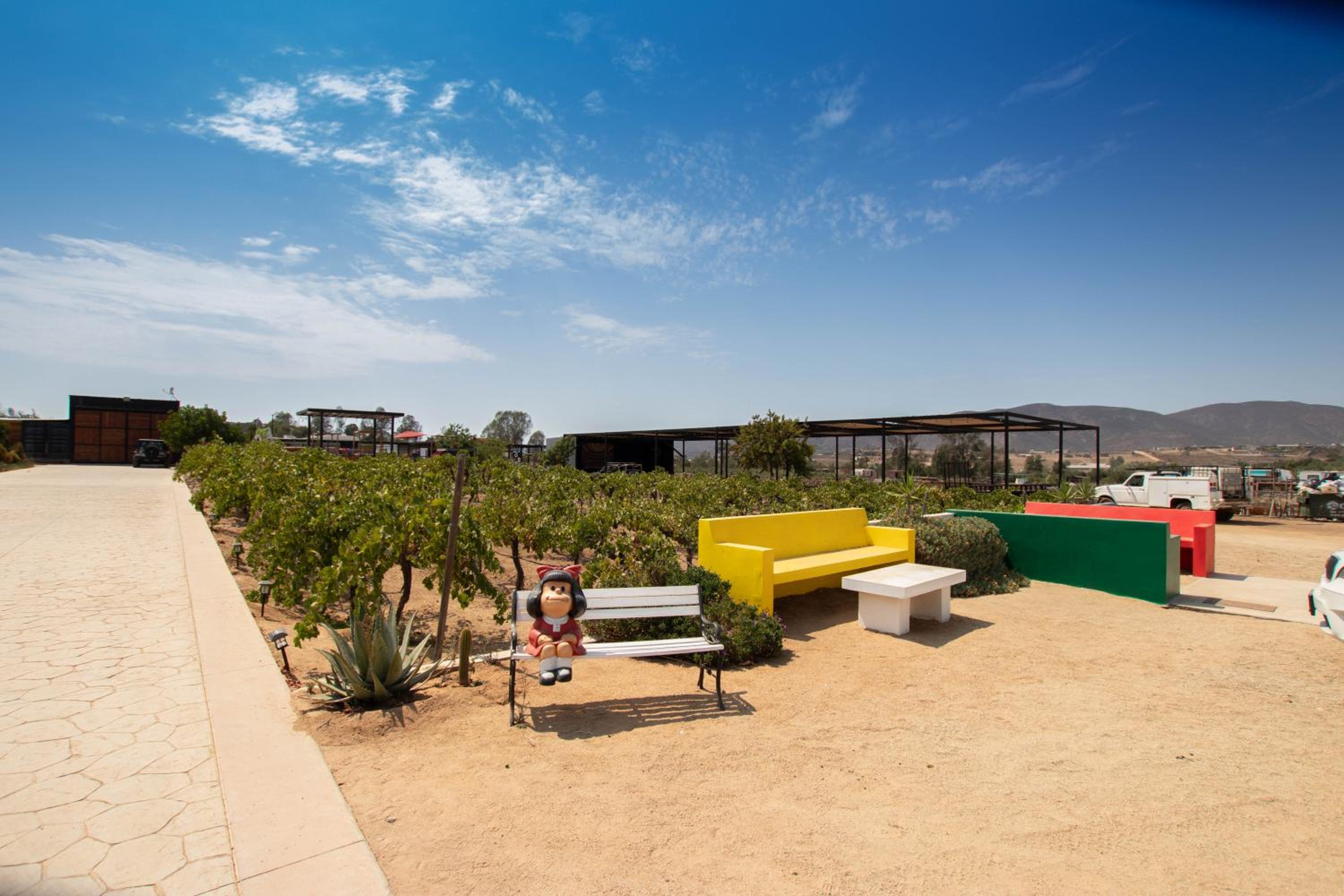 Quinta Nicolás Valle de Guadalupe view 5