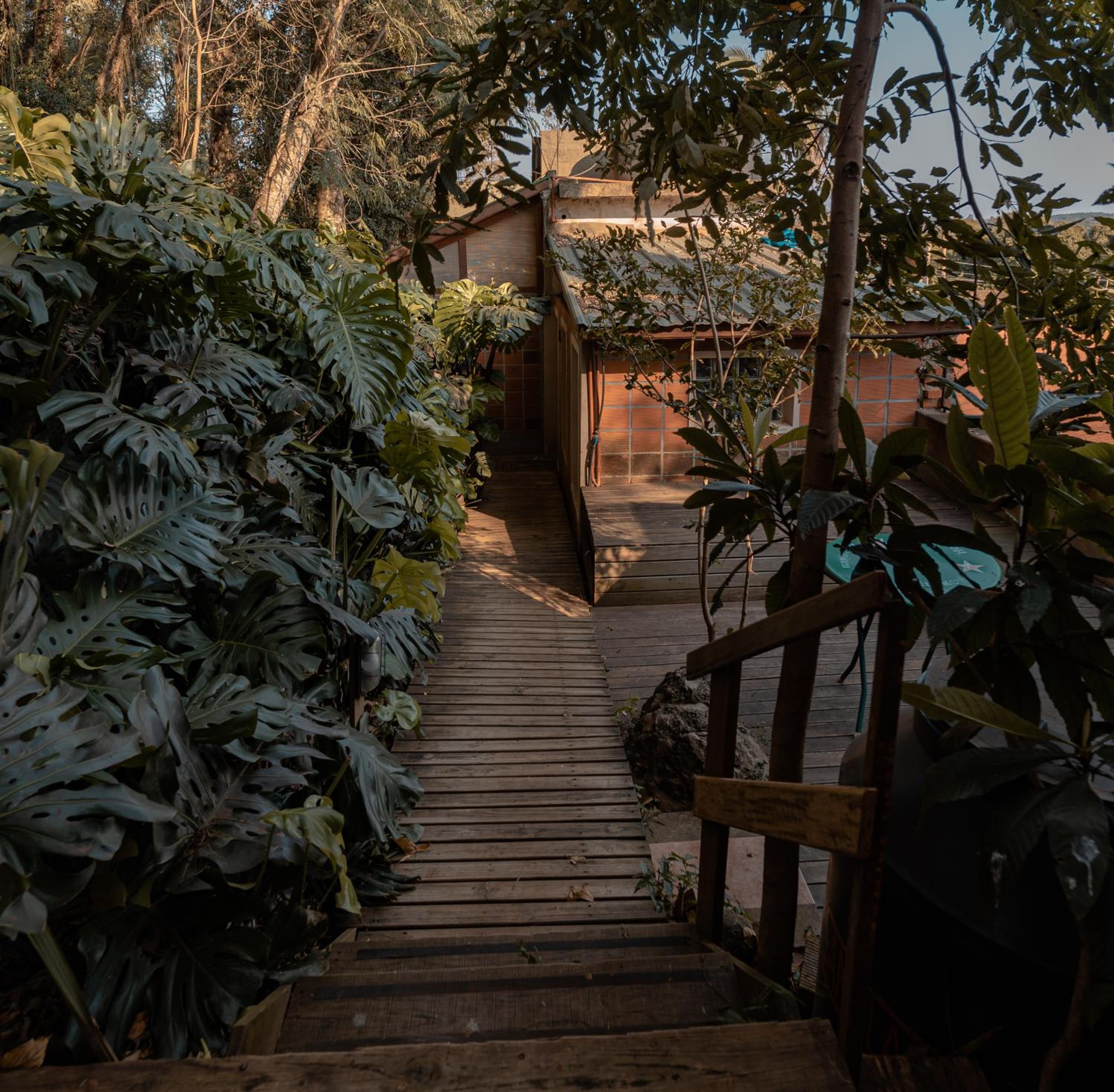 Descanso Verde
