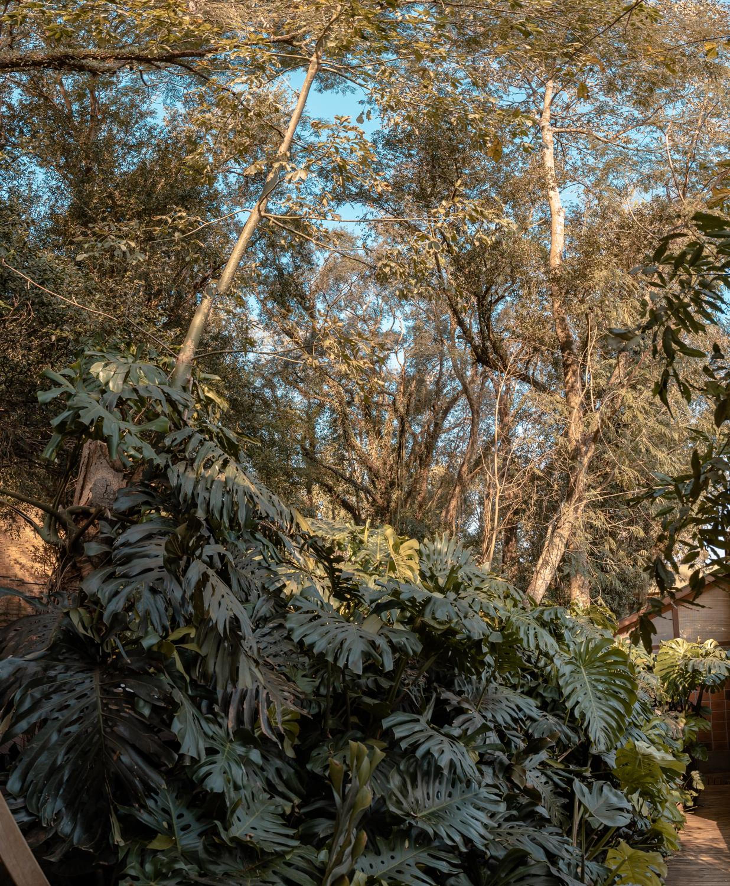Descanso Verde