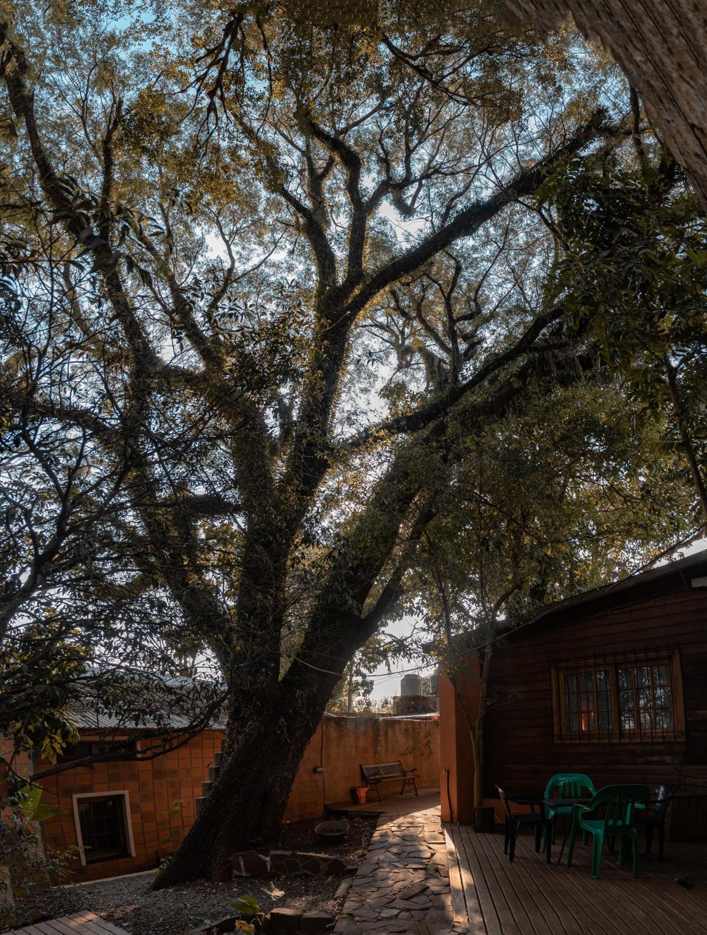 Descanso Verde