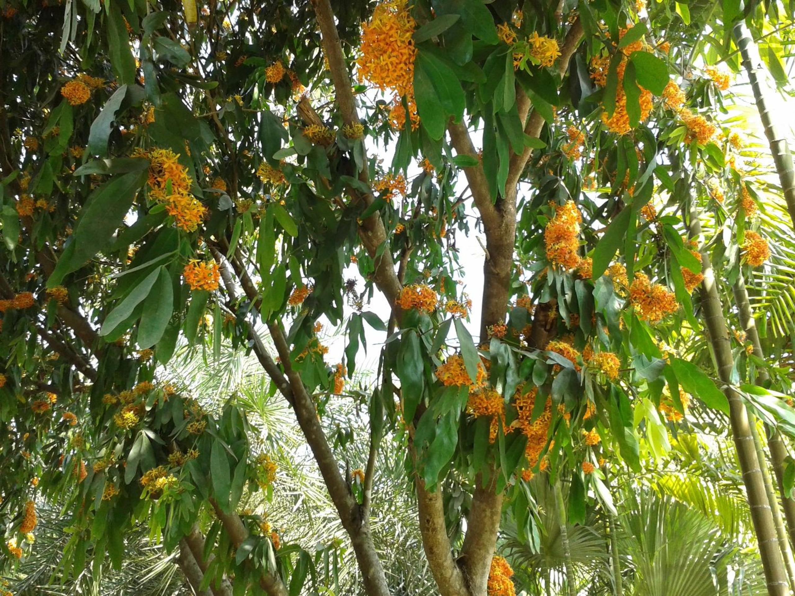 Huan Chiang Dao Resort
