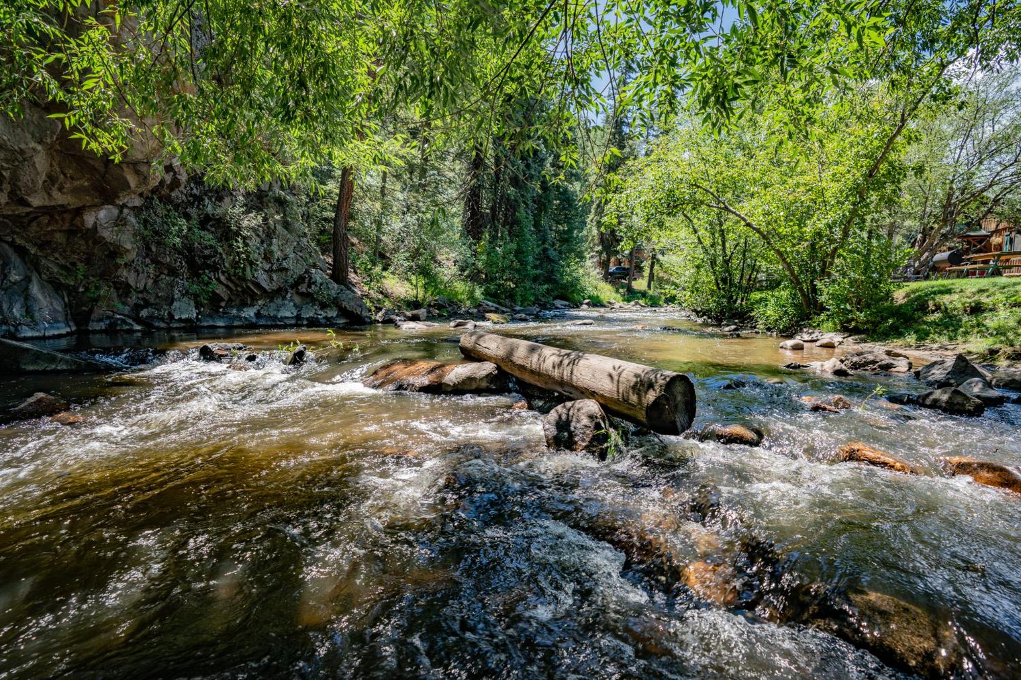 Colorado Bear Creek Cabins