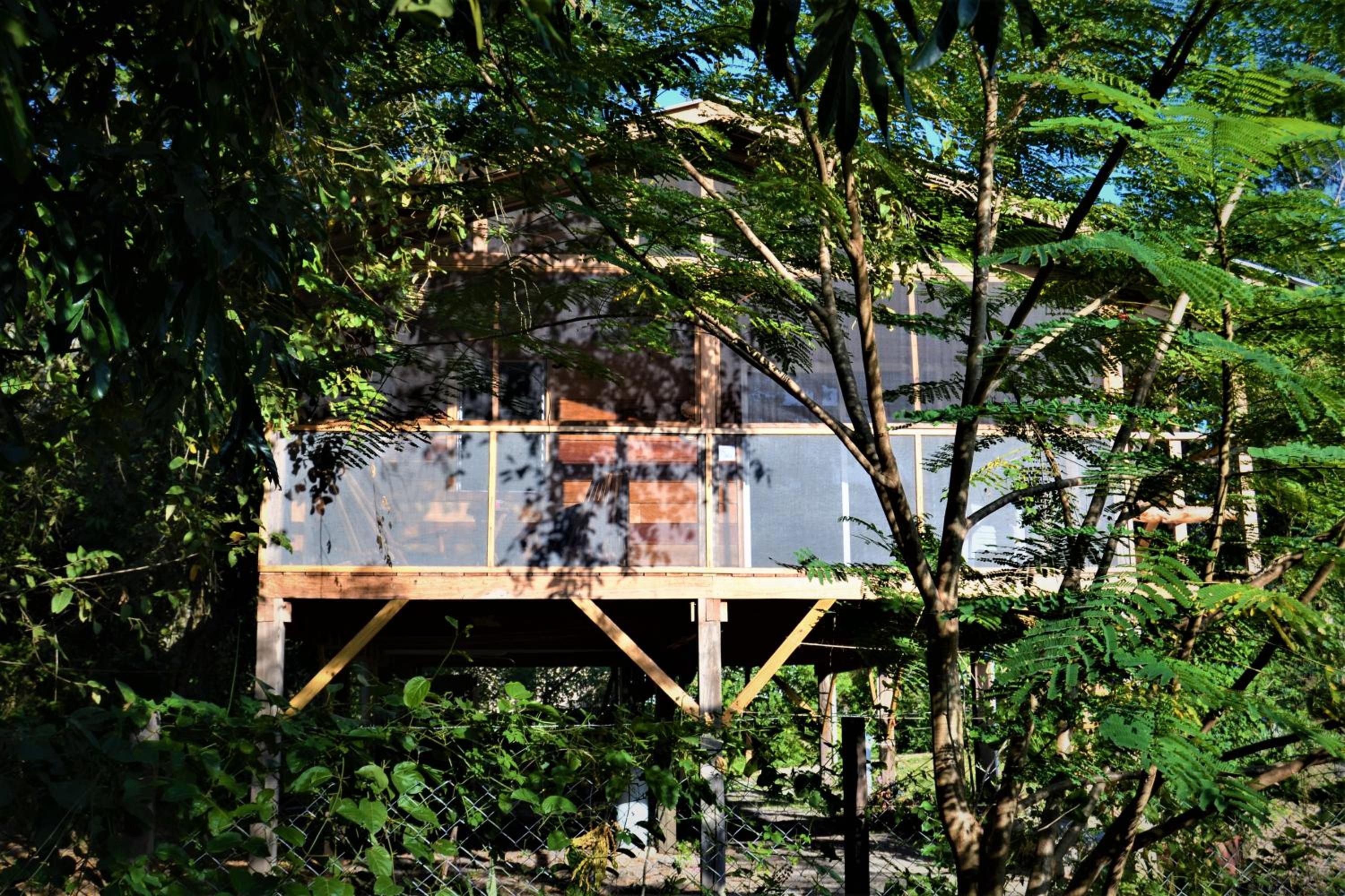 2BR Treetop Cottage Tropical Adventure, Maya Ruins San Ignacio Center Nearby