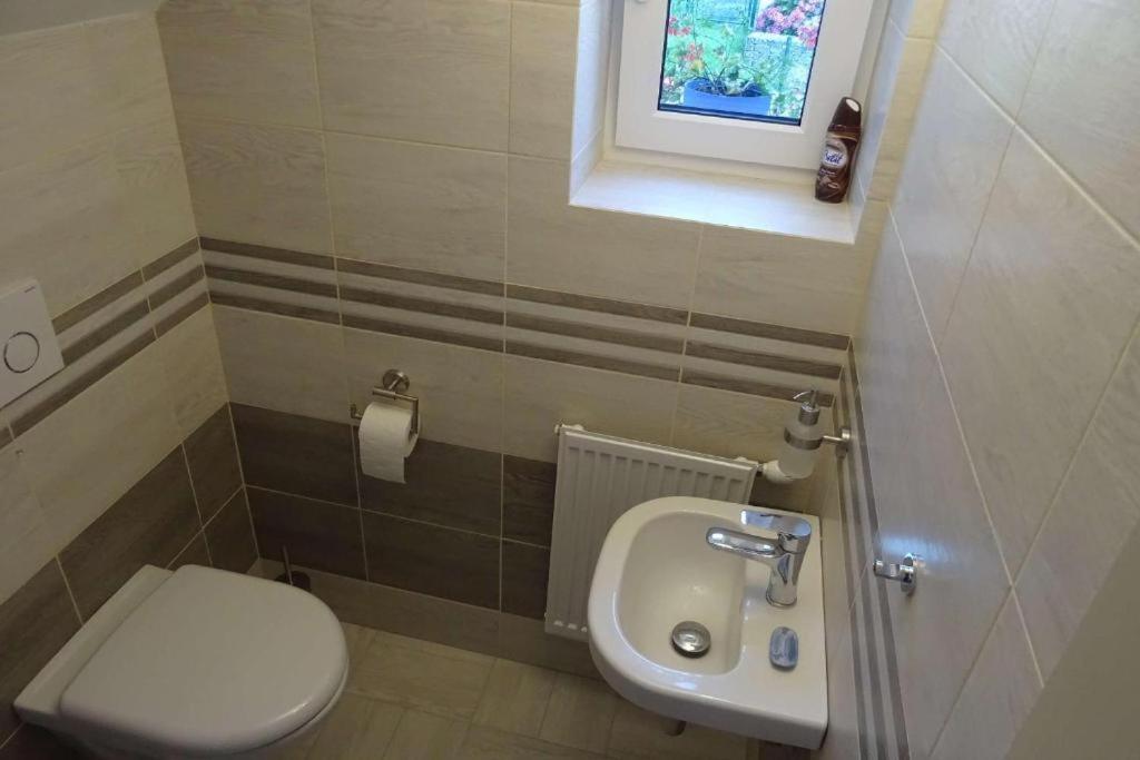 Apartmán Borůvka