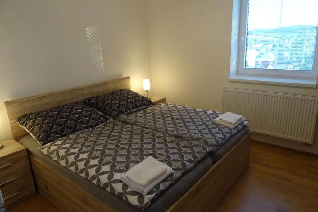 Apartmán Borůvka