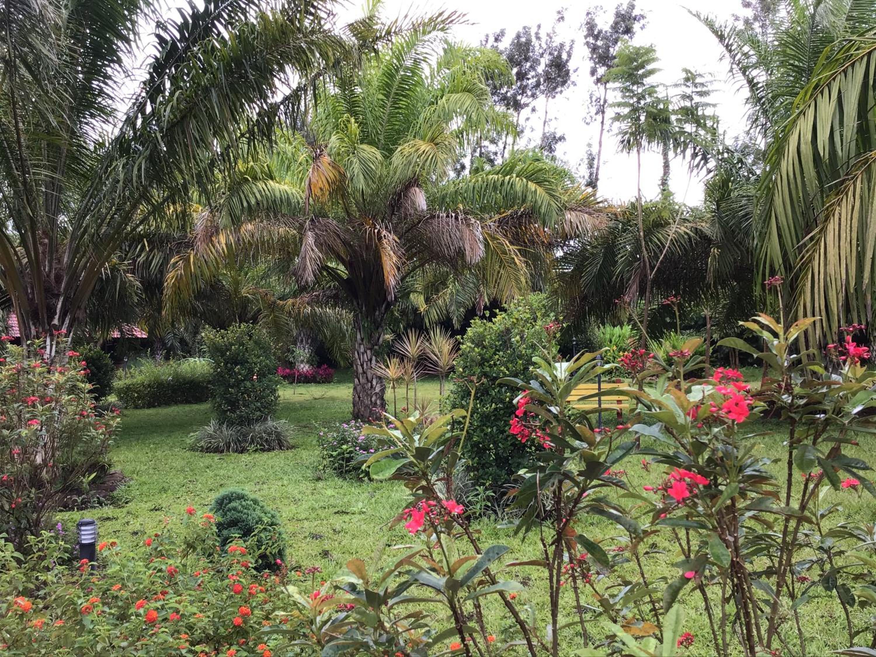 Palm Era Resorts view 3