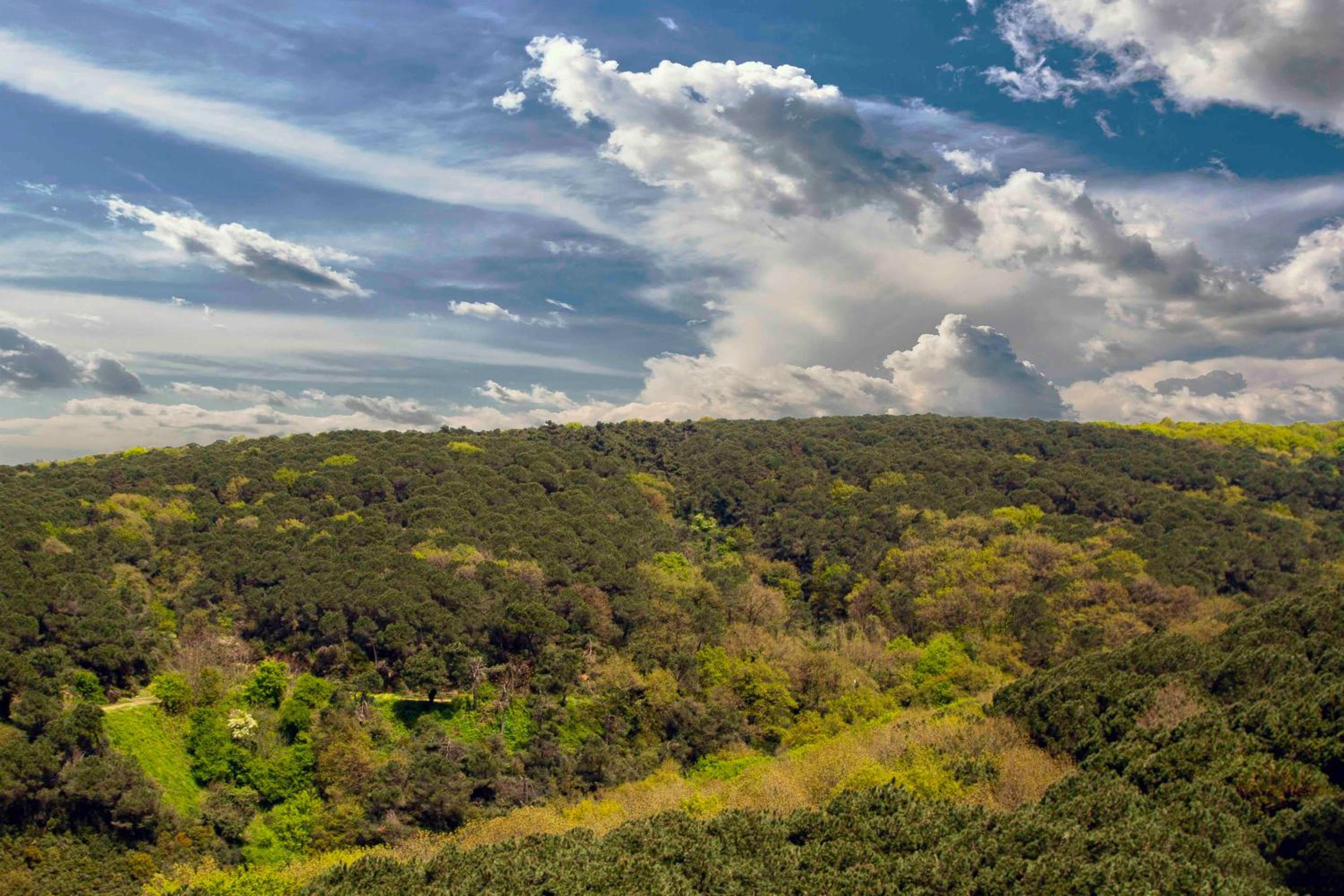 Maslak Aparts - Image 31