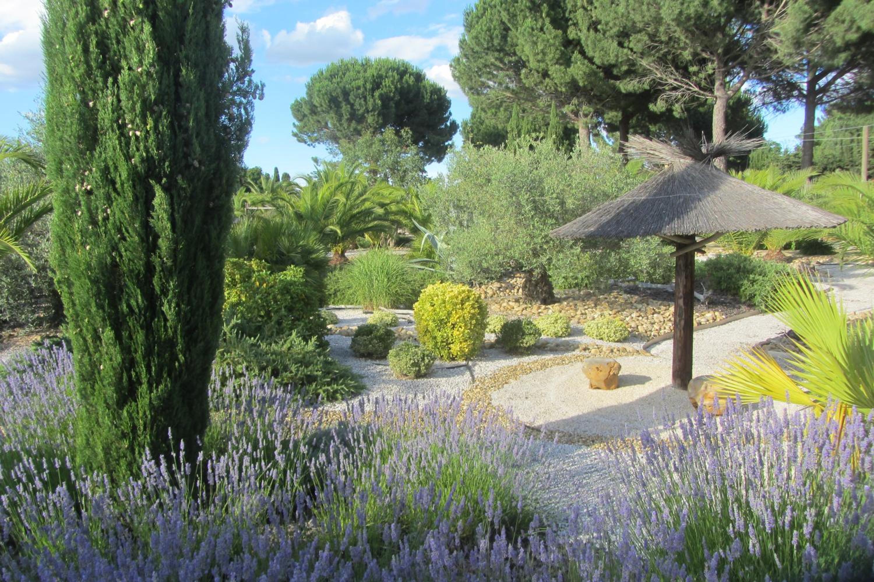 La palmeraie, photo 12
