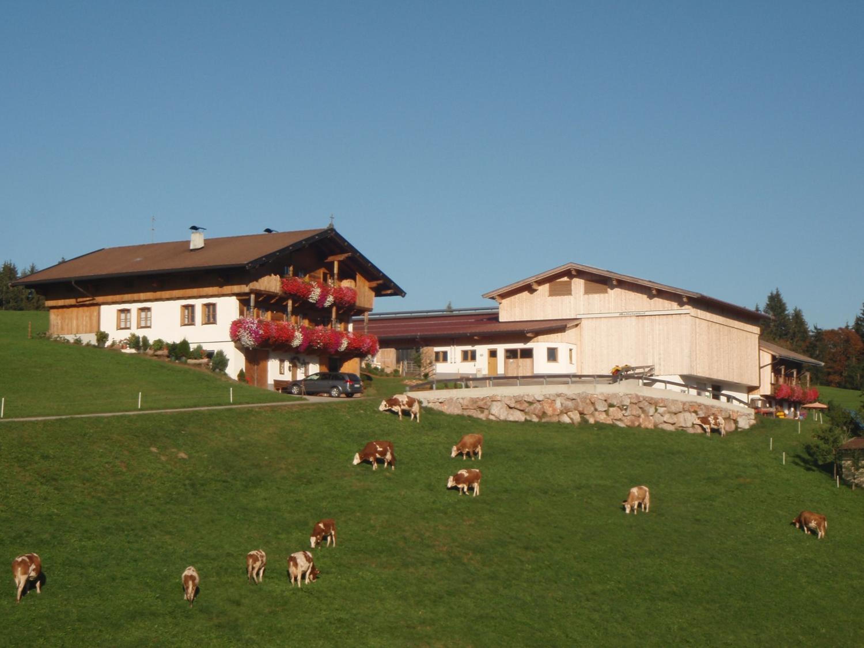 Sonnenappartements Madlstatthof