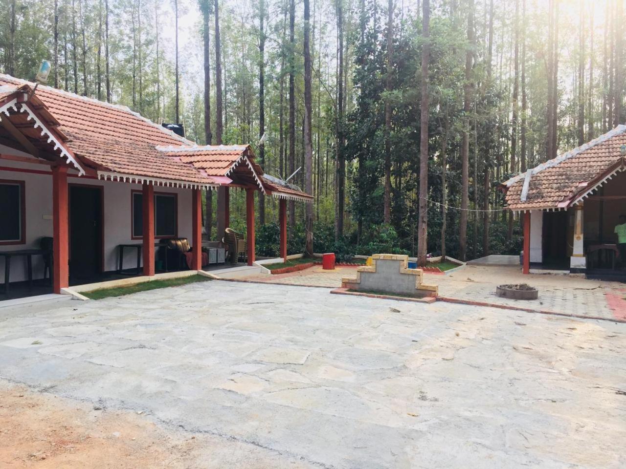 Silver Shadow Homestay view 4