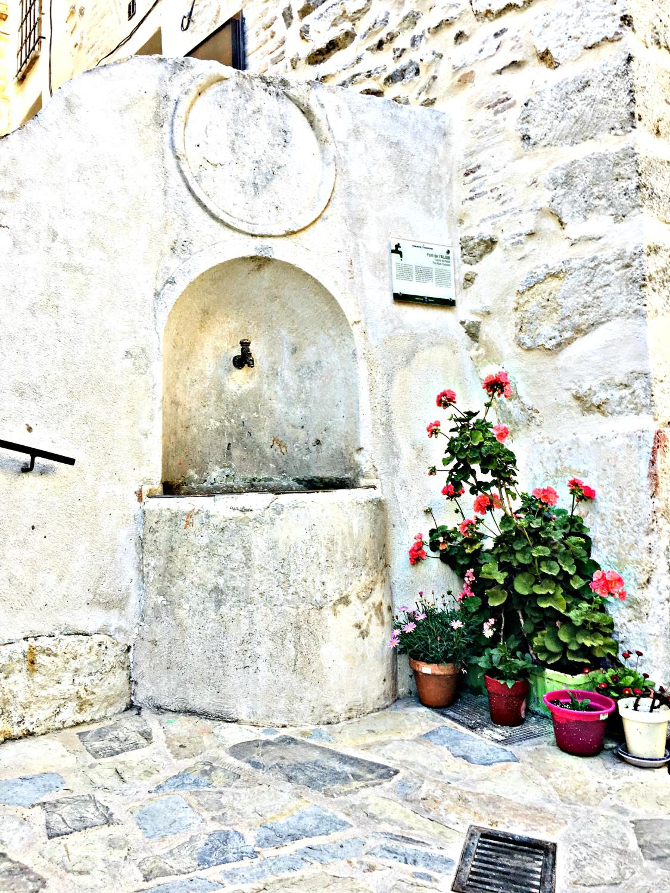 Photo 41
