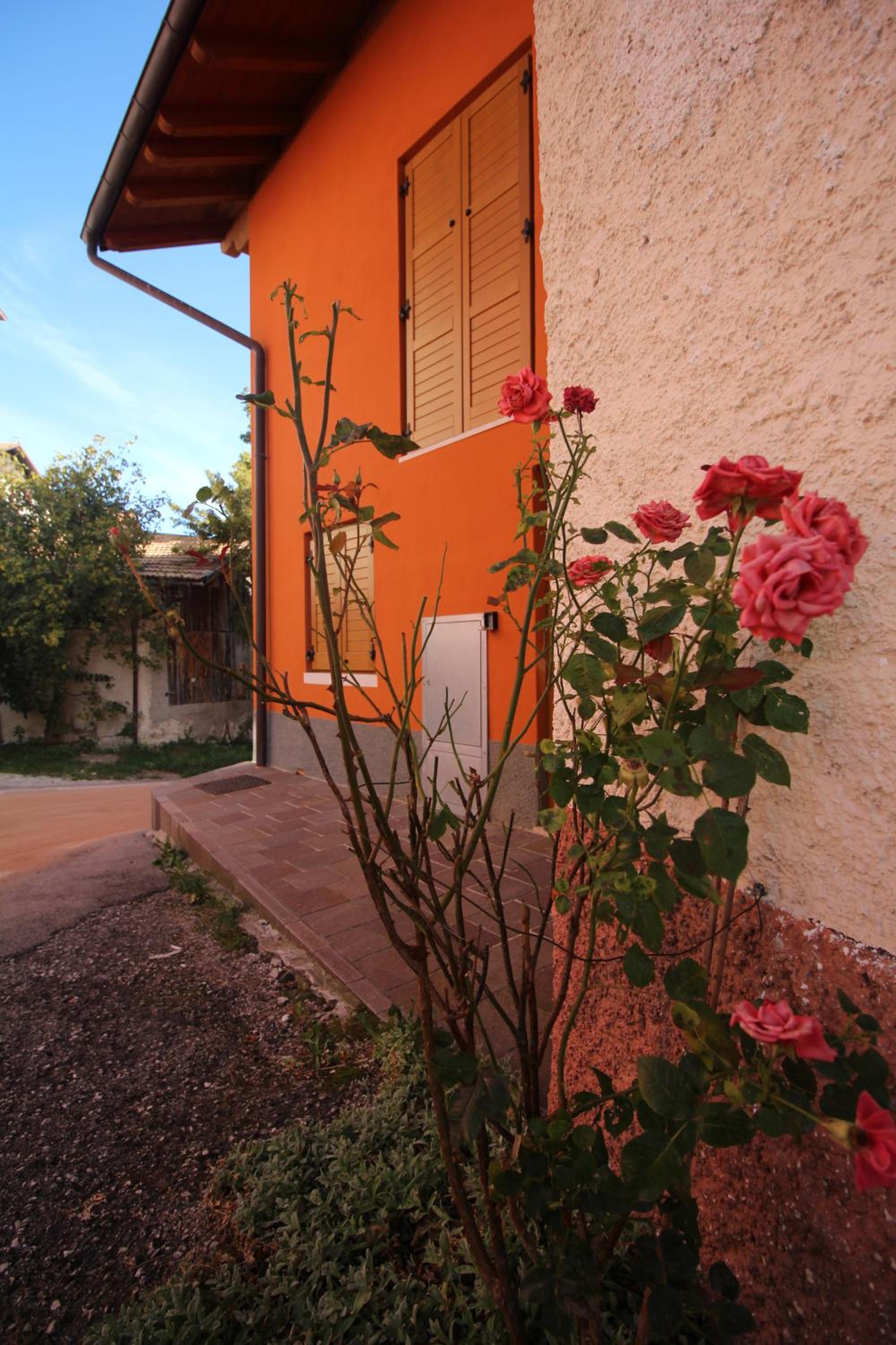 Trentino Apartments - Casa Moser