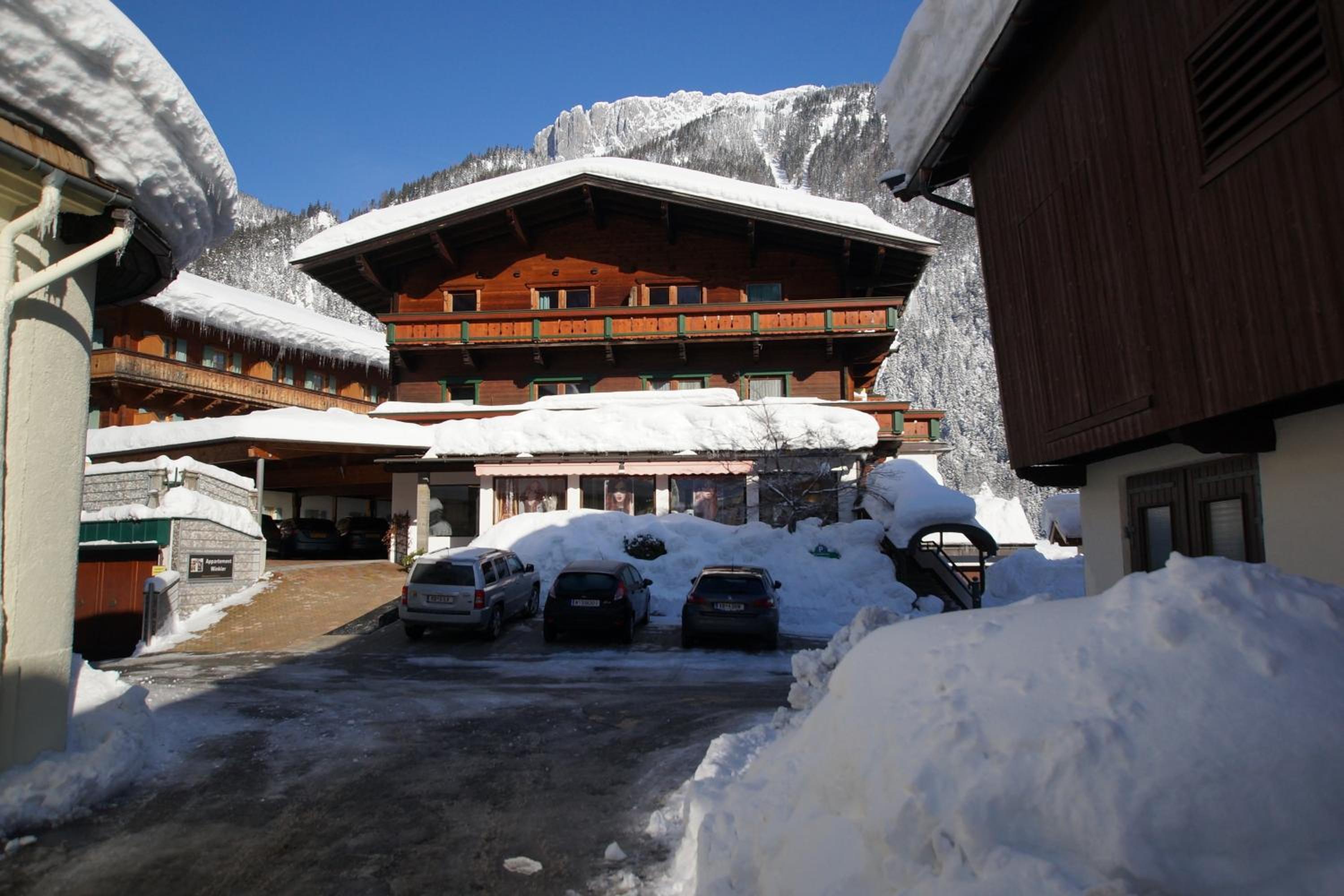 Photo 11
