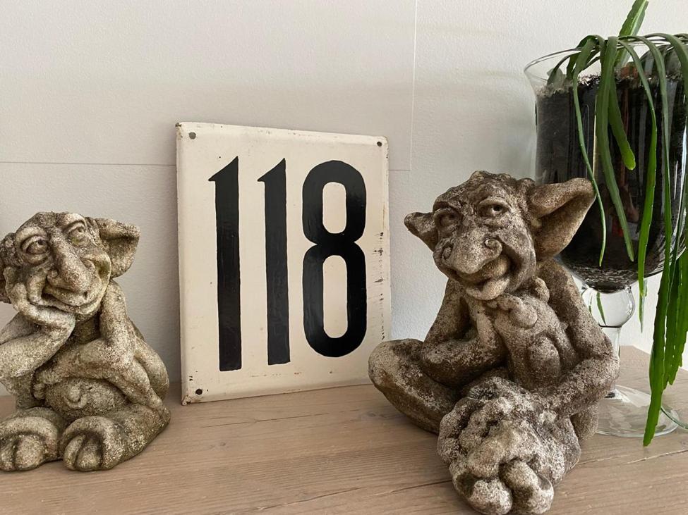 Den 118, aan de Maas