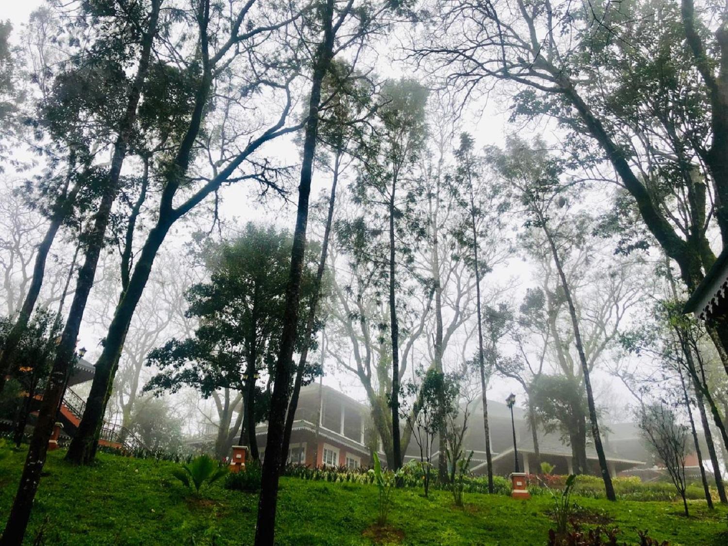 Coorg Wilderness Resort & Spa 82