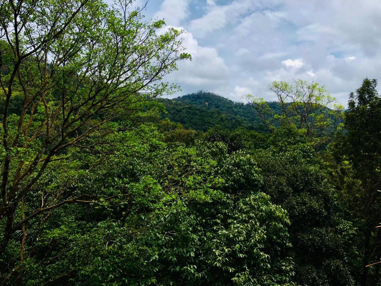 Coorg Wilderness Resort & Spa 25
