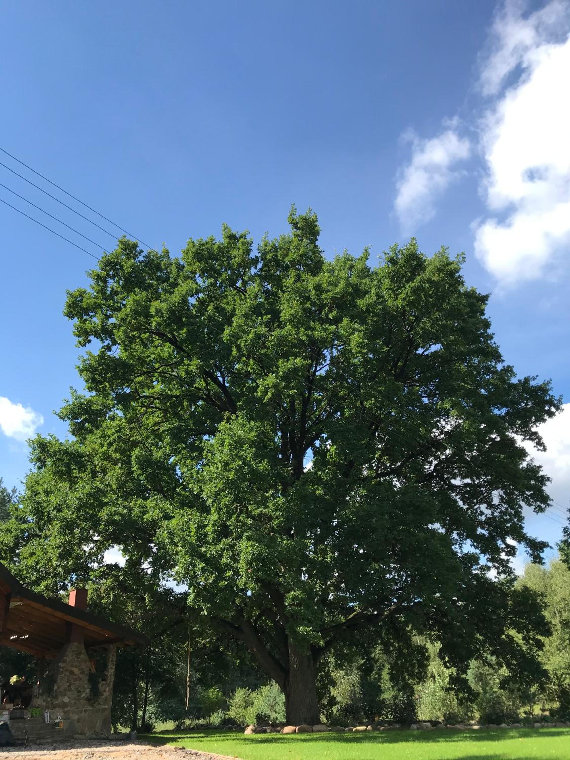 Photo 26