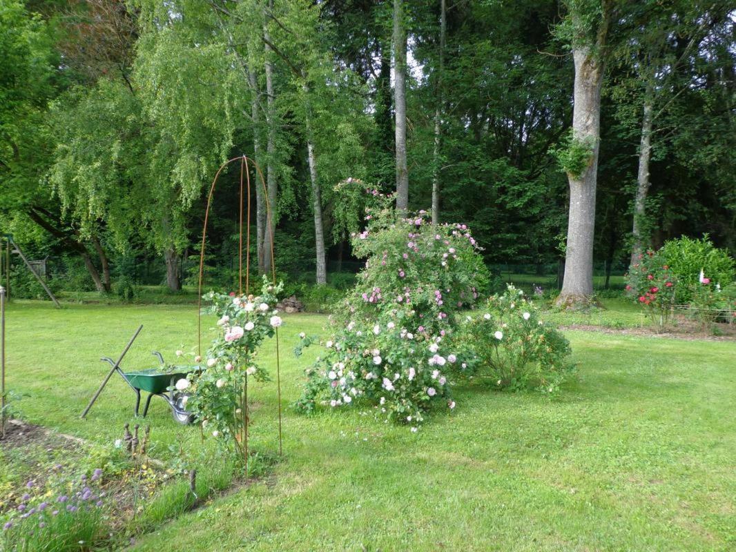 Photo 18