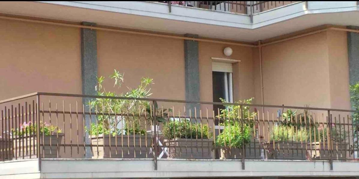 Sesto Calende Centro view 5