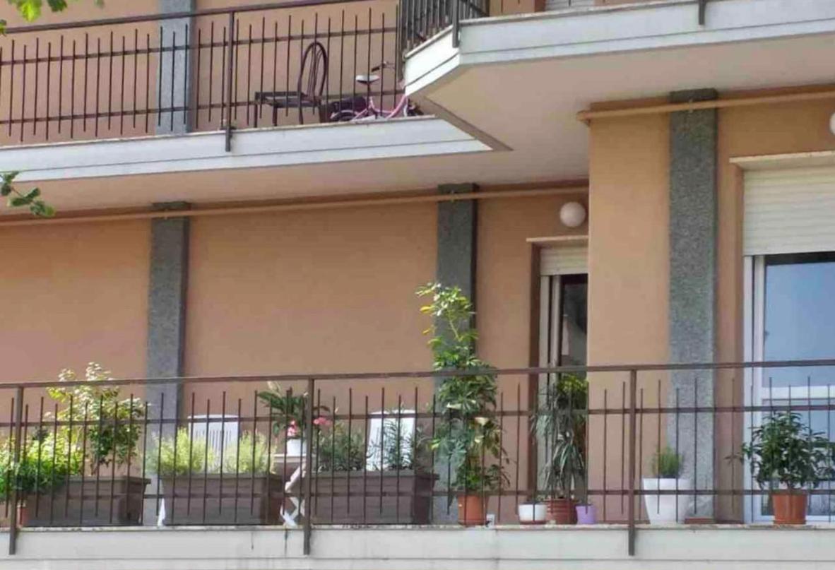 Sesto Calende Centro view 4