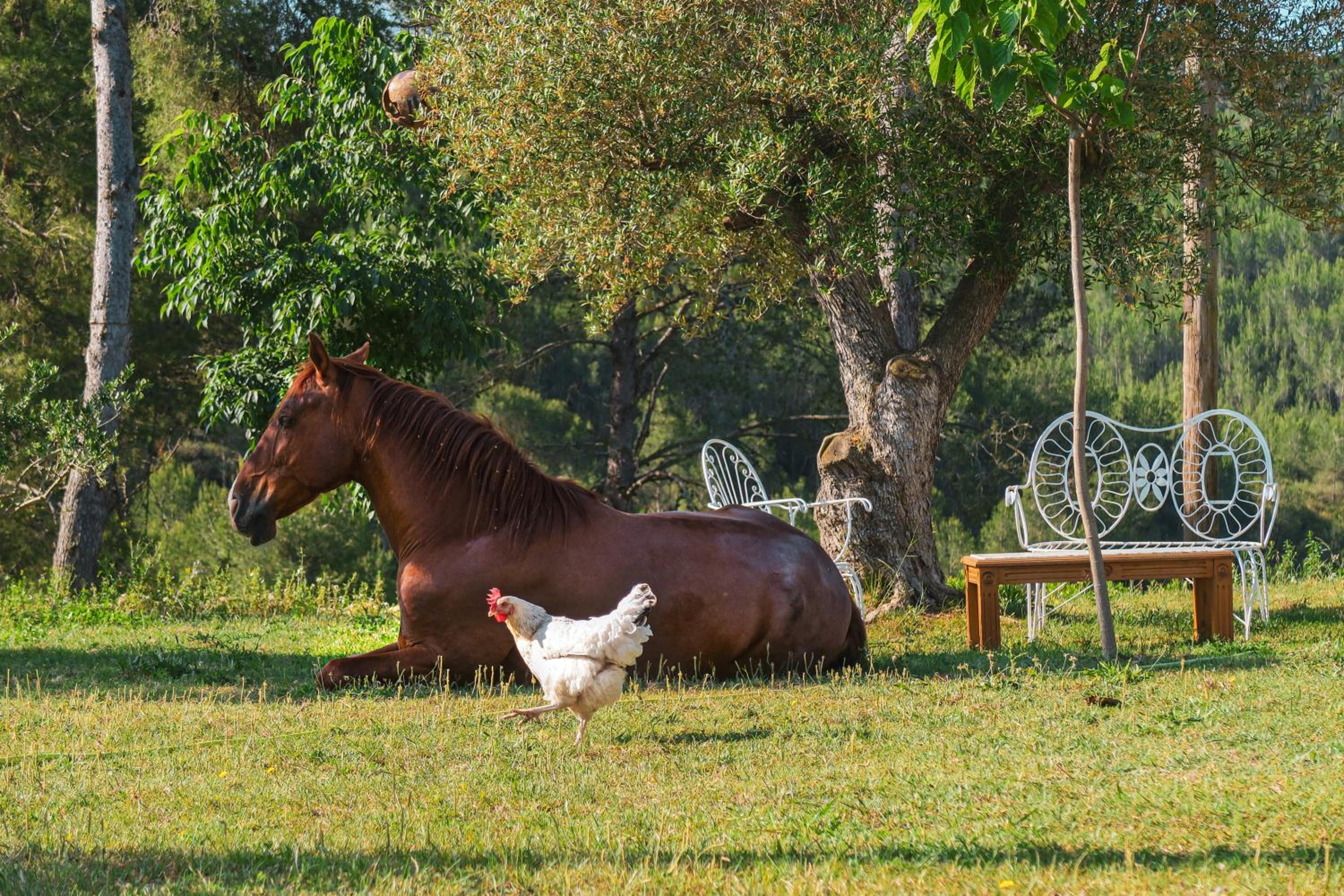 Masia Pou de la Vinya