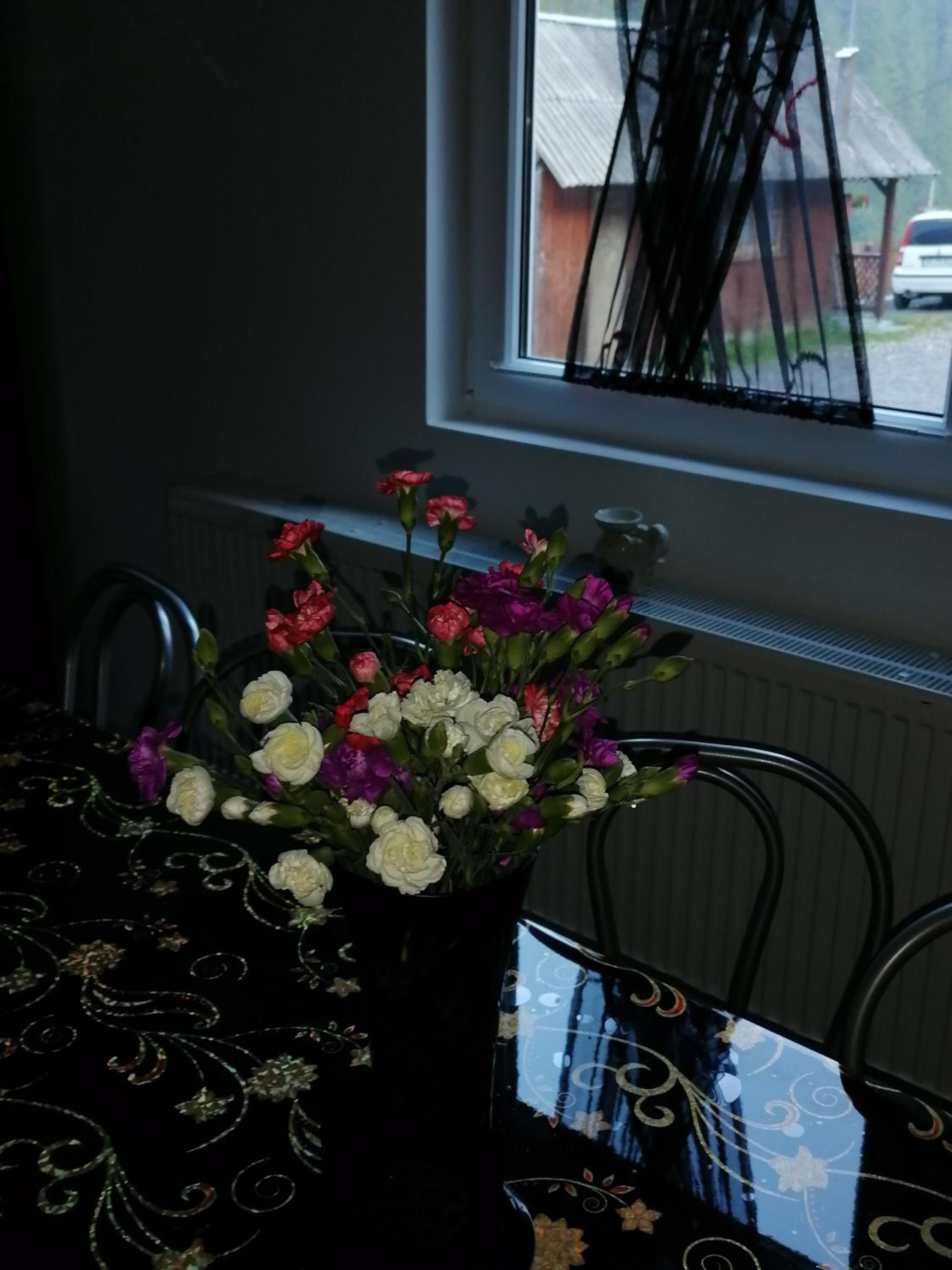 Photo 137