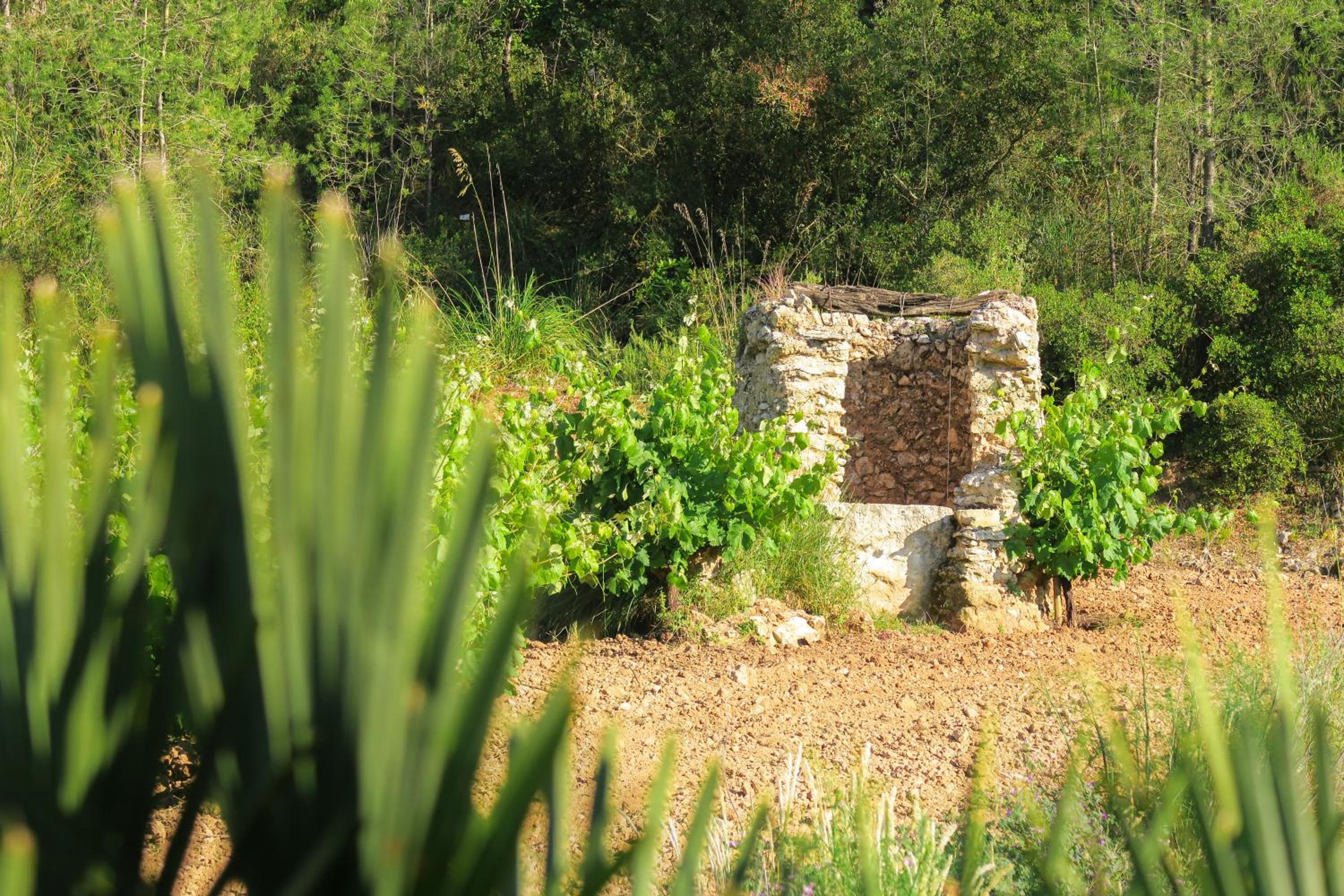 Masia Pou de la Vinya