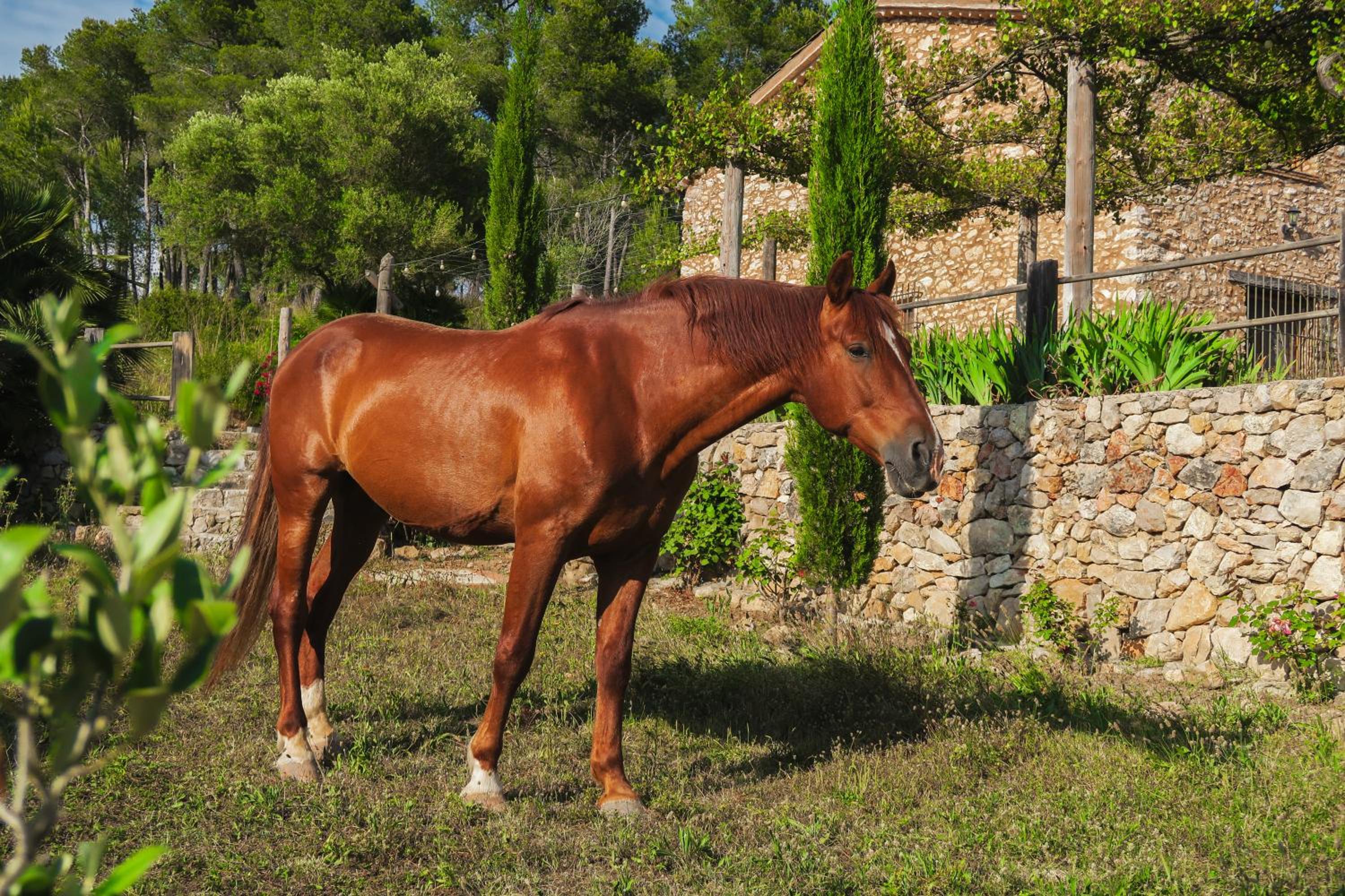 Masia Pou de la Vinya