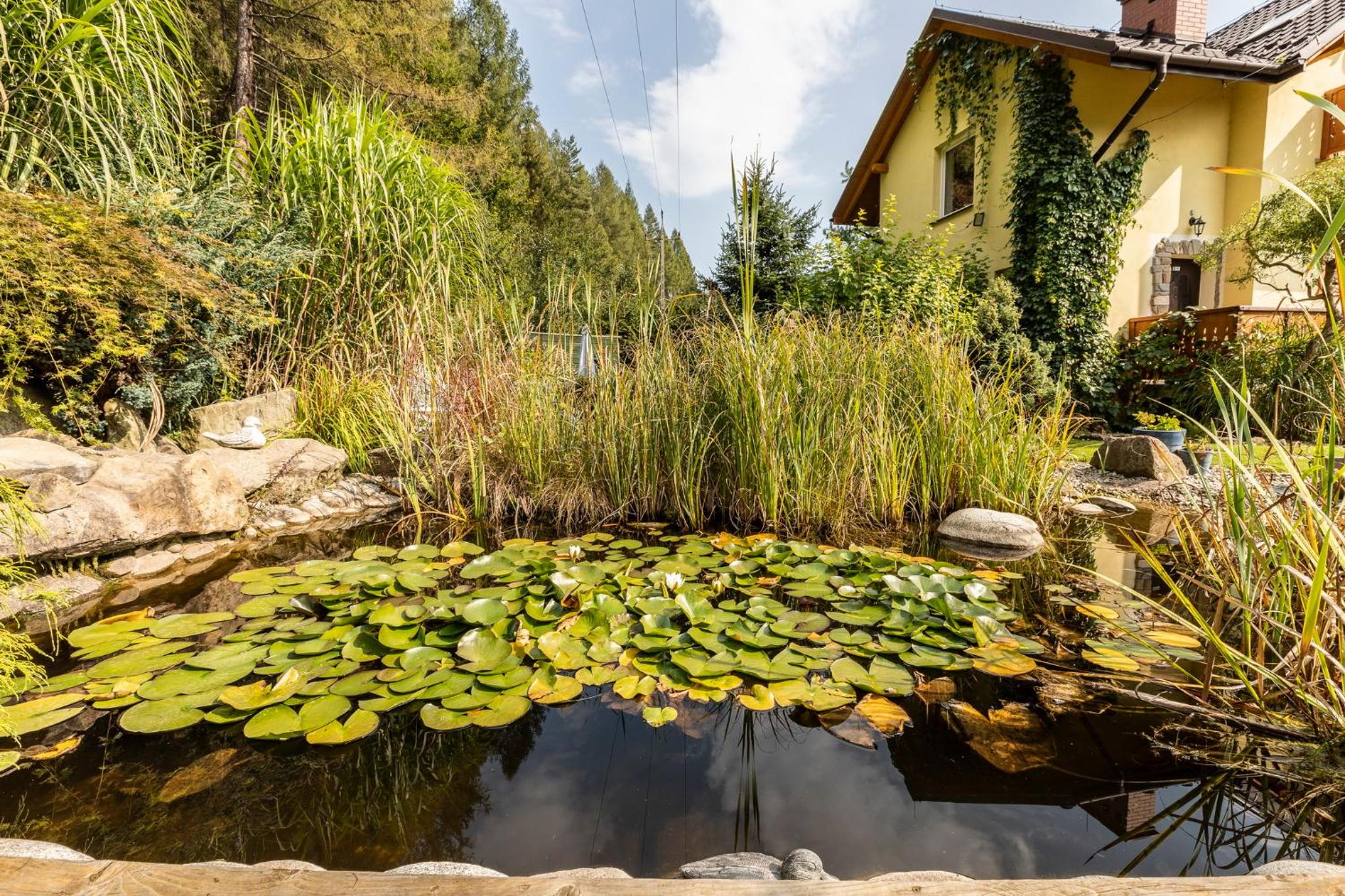 Apartamenty Zielona Owieczka