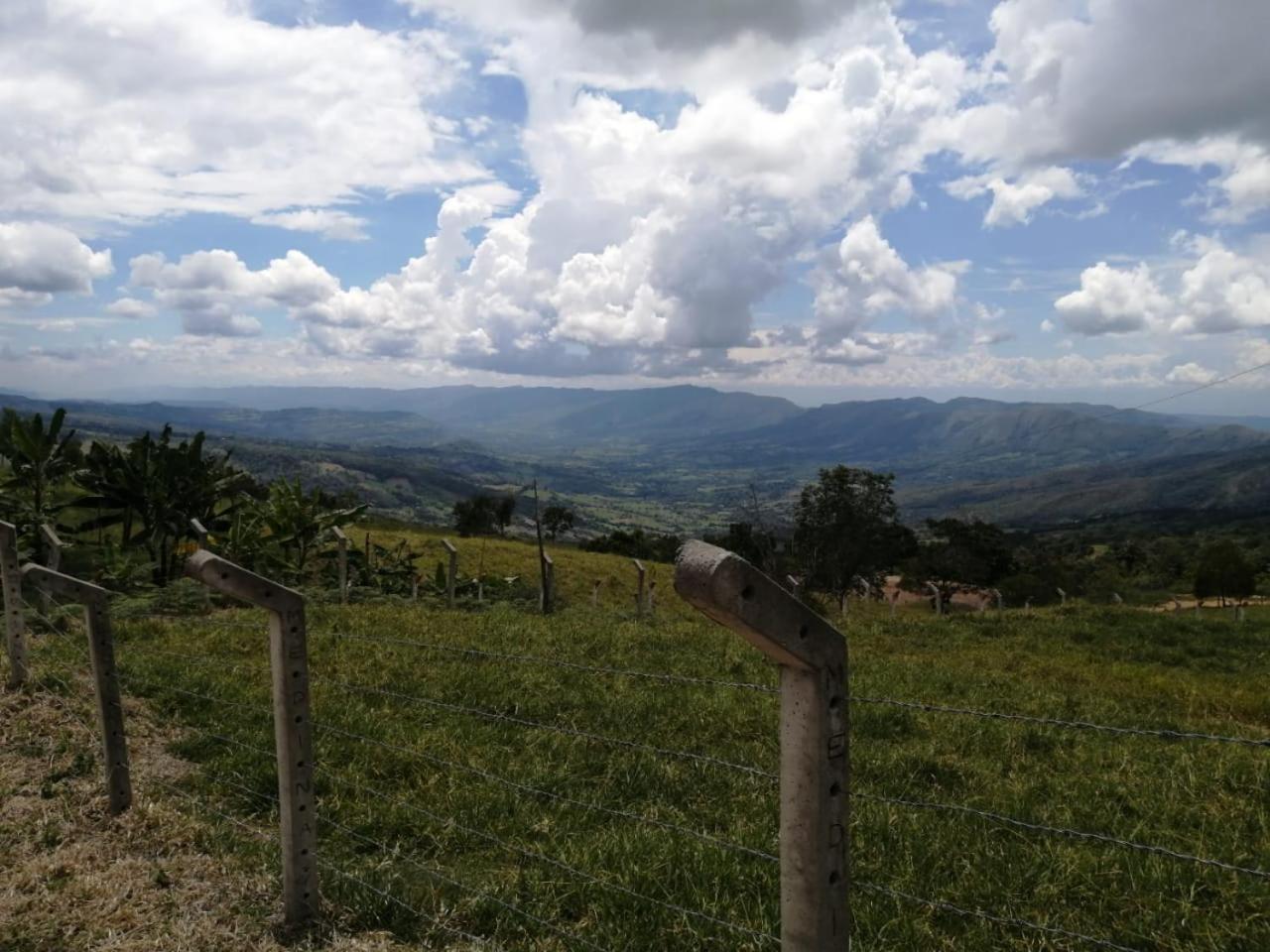 Rancho Ocampo finca