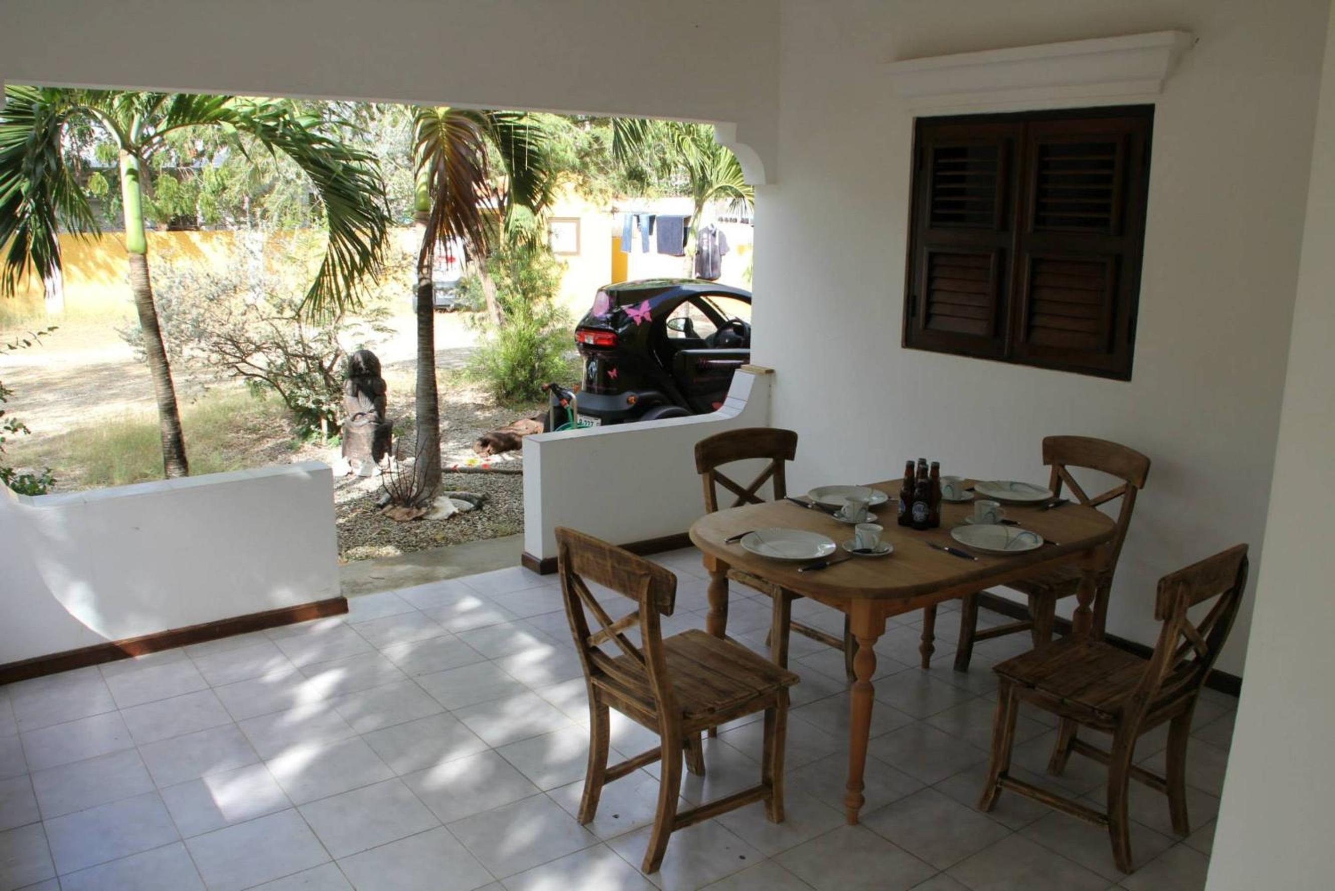 Roadrunner-Bonaire