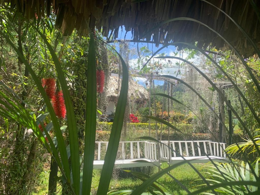 Hotel Campestre mirador CaloPala