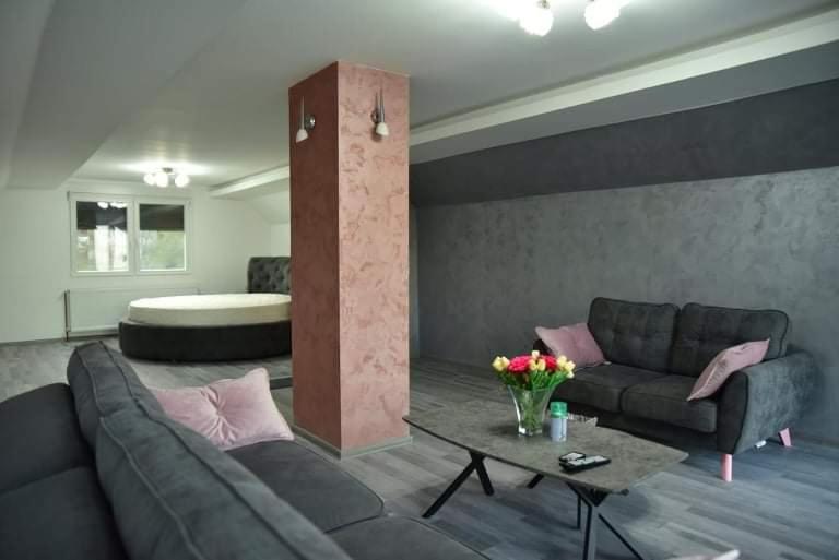 Dušanovac Panorama House - veliko dvoriste, 2 rostilja, pogled na Rasku