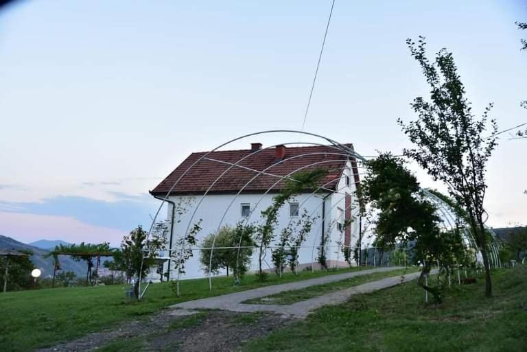 Dušanovac Panorama House - veliko dvoriste, 2 rostilja, pogled na Rasku