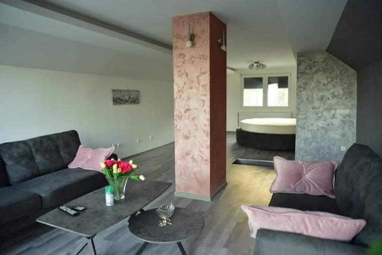 Dušanovac Panorama House - veliko dvoriste, 2 rostilja, pogled na Rasku