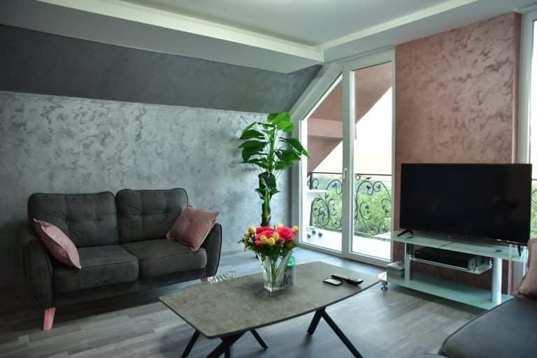 Dušanovac Panorama House - veliko dvoriste, 2 rostilja, pogled na Rasku