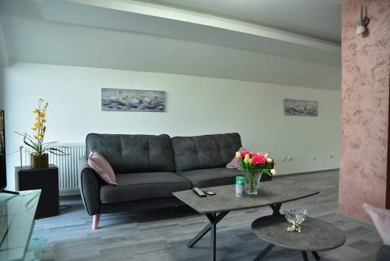 Dušanovac Panorama House - veliko dvoriste, 2 rostilja, pogled na Rasku