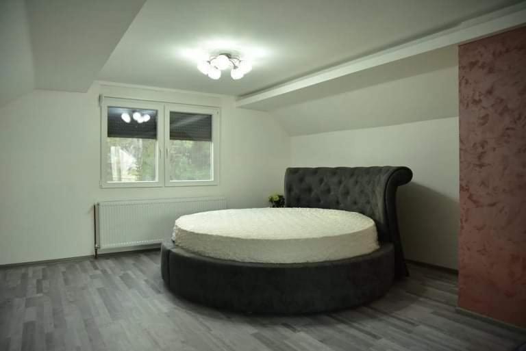 Dušanovac Panorama House - veliko dvoriste, 2 rostilja, pogled na Rasku