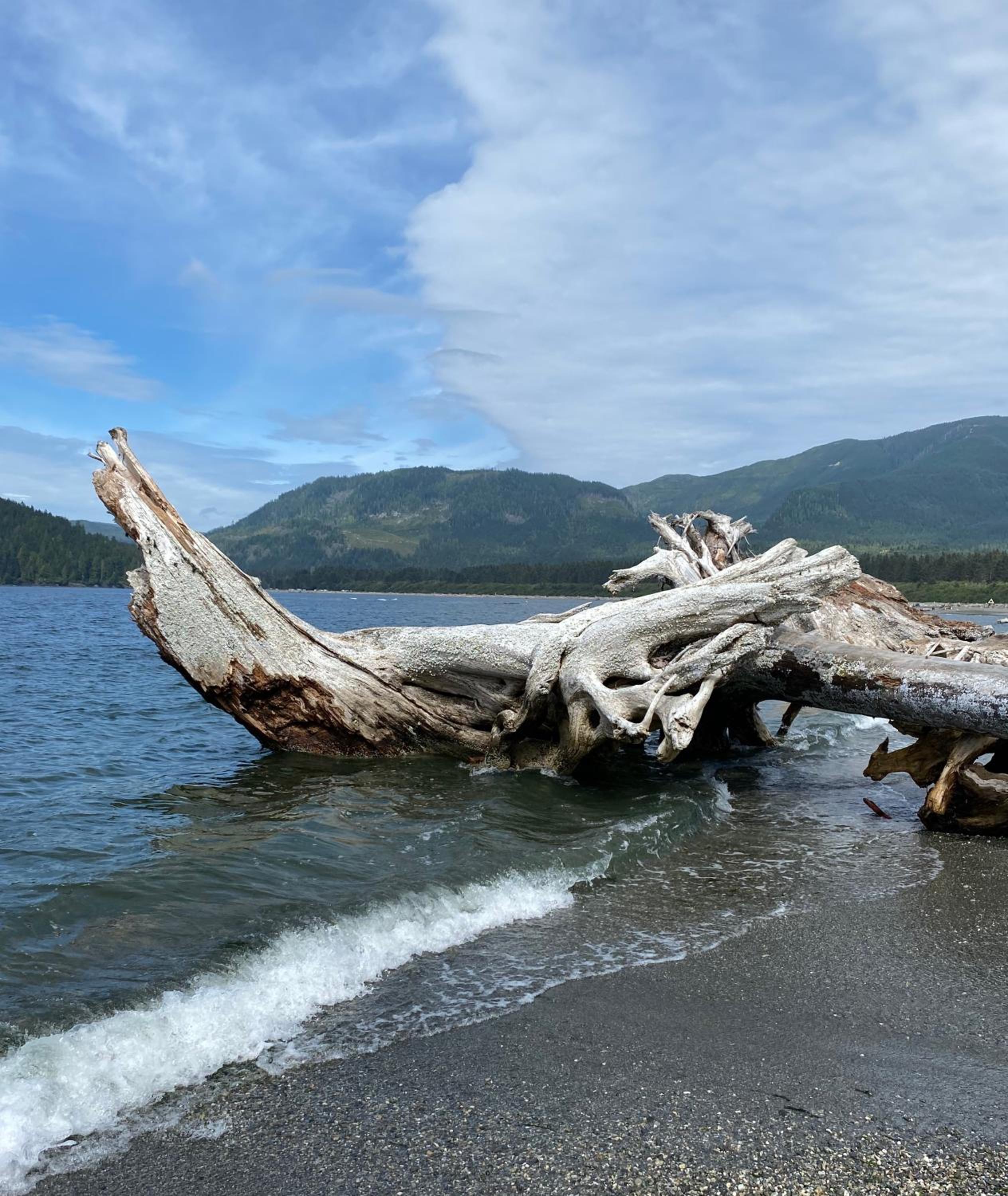 Port Renfrew Vacation Rentals