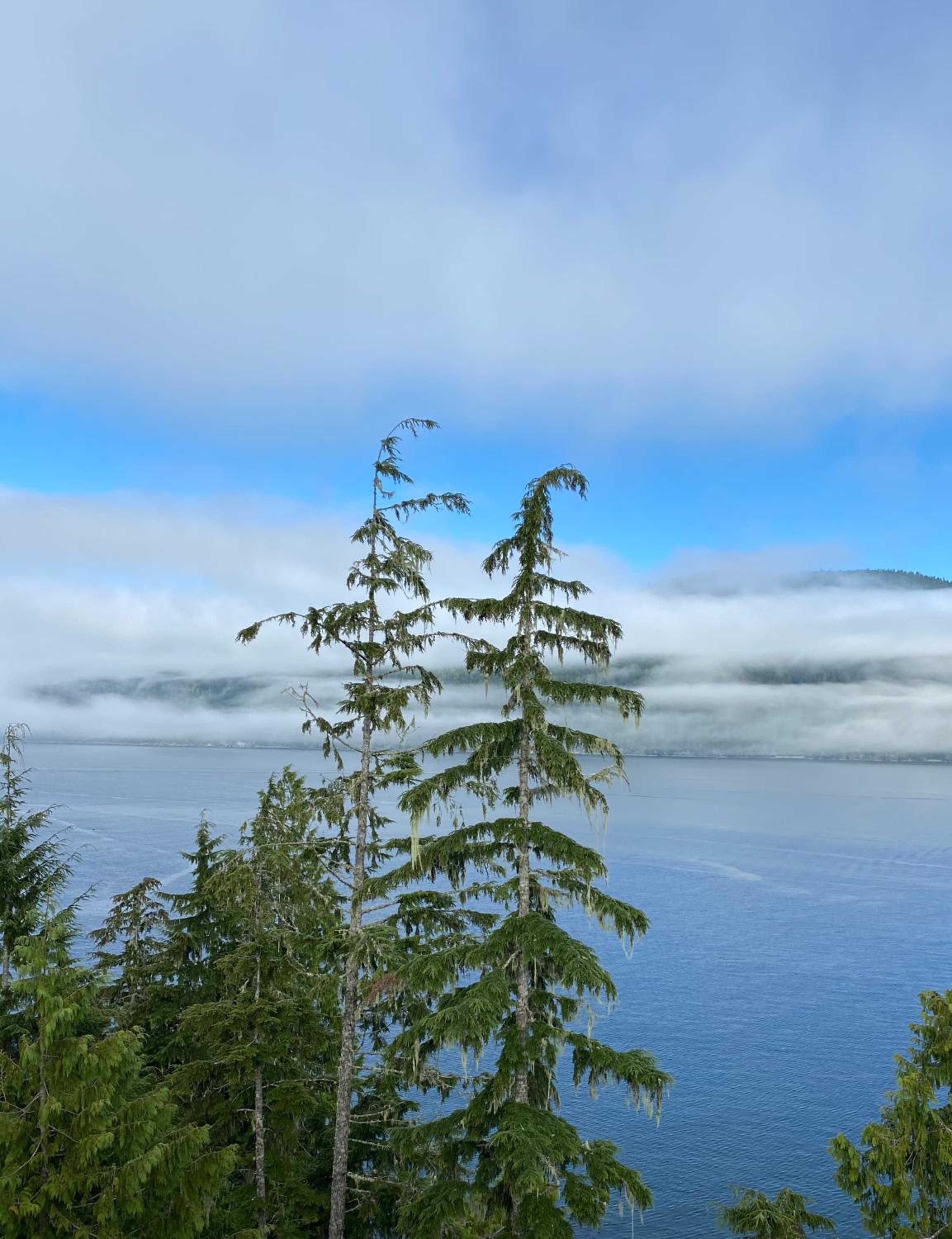 Port Renfrew Vacation Rentals