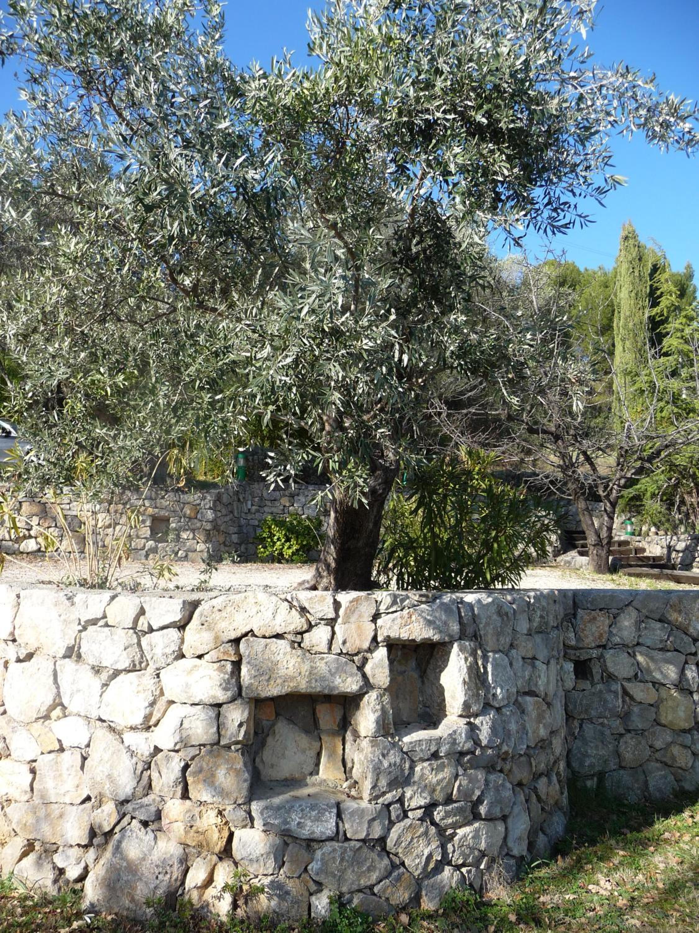 Photo 32