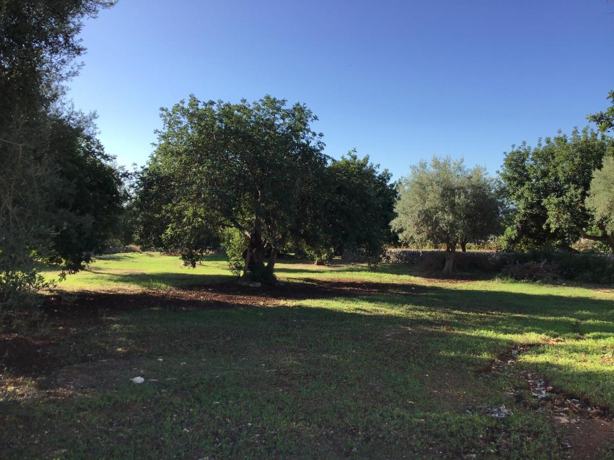 Photo 21