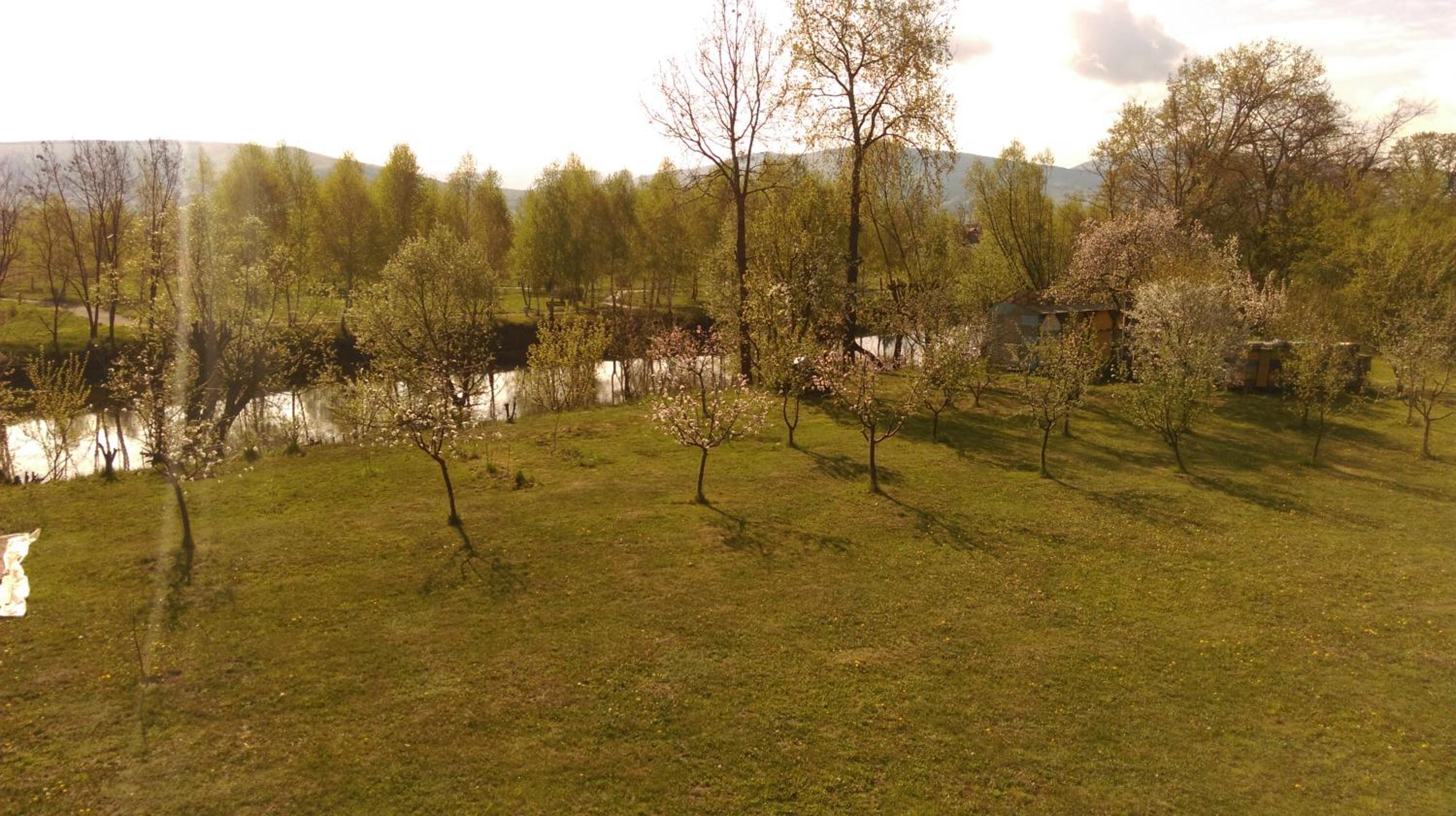 Photo 30