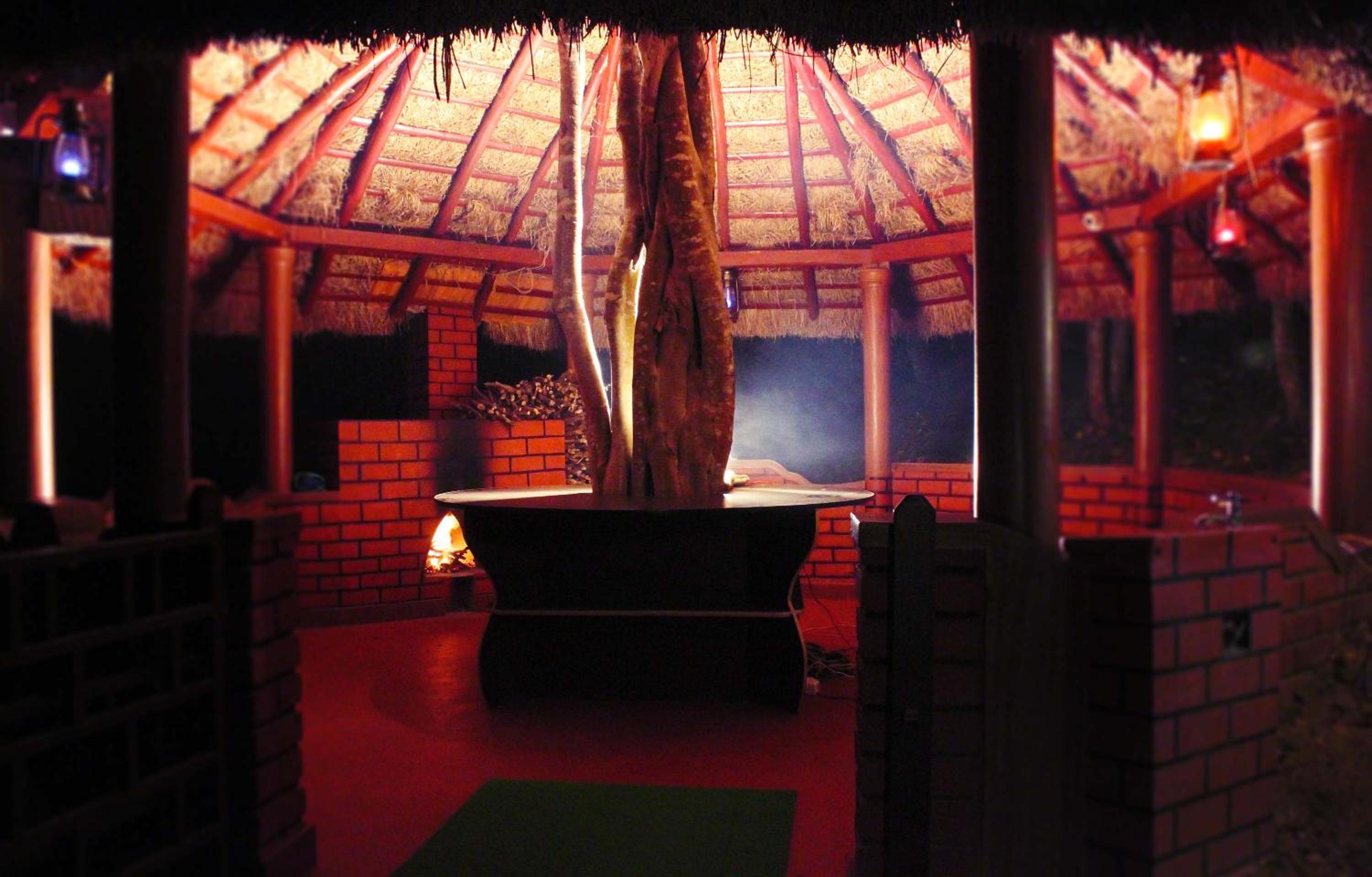 Photo 12