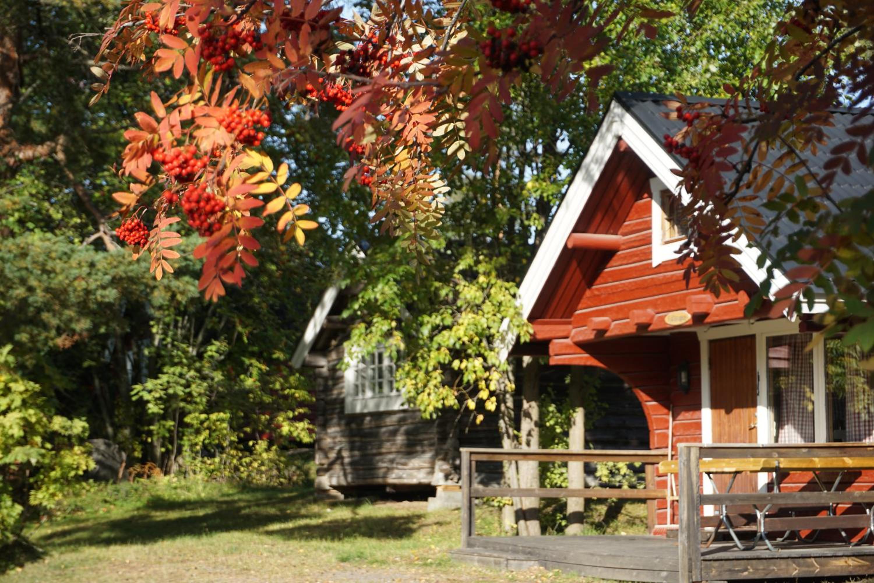 Skellefteå Camping view 3